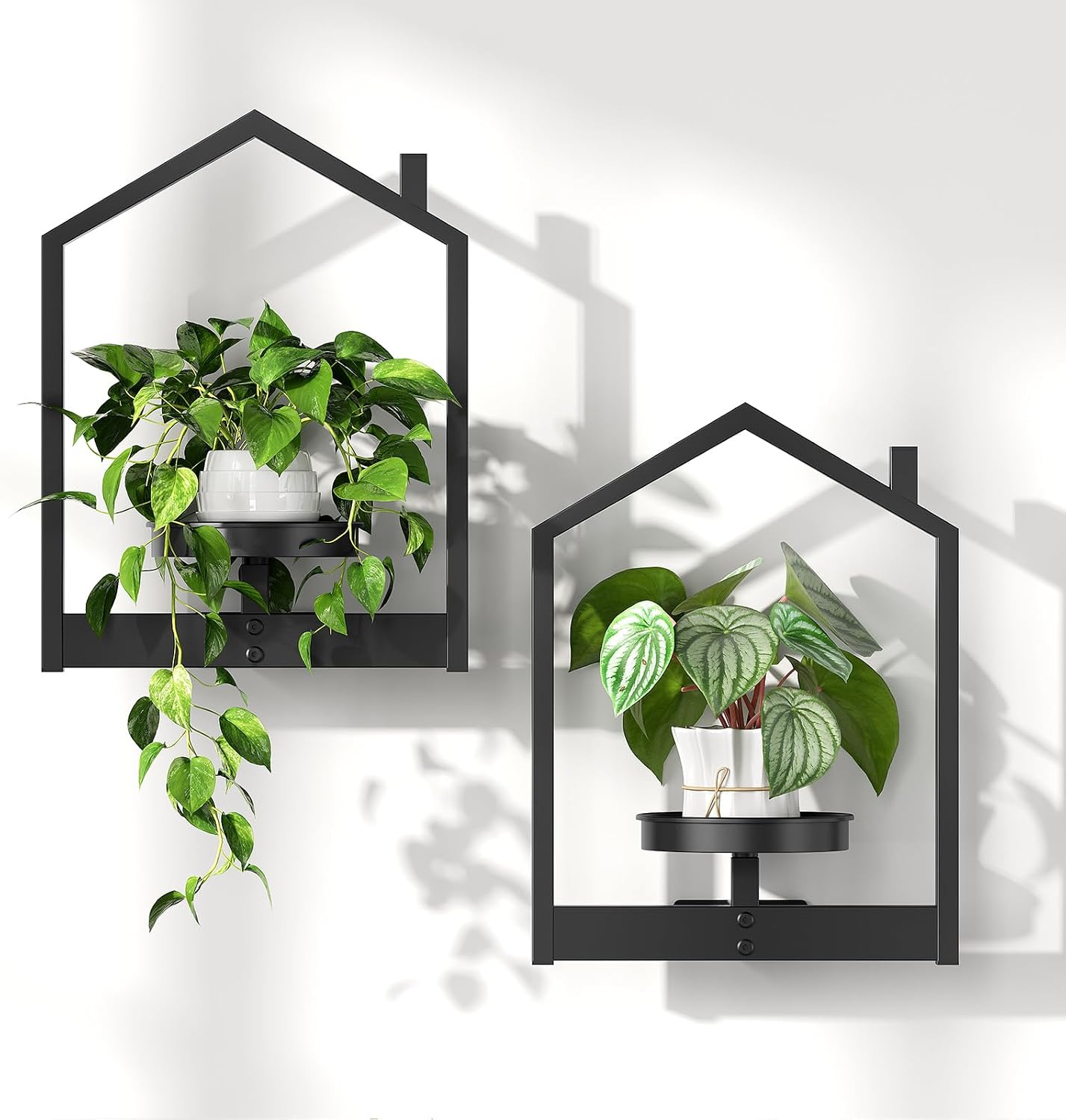 Detalle de HOOBRO Porta Piante da Interno da Parete con Vassoio Rimovibile — Mini Casetta in Metallo Nero per Decorare Pareti