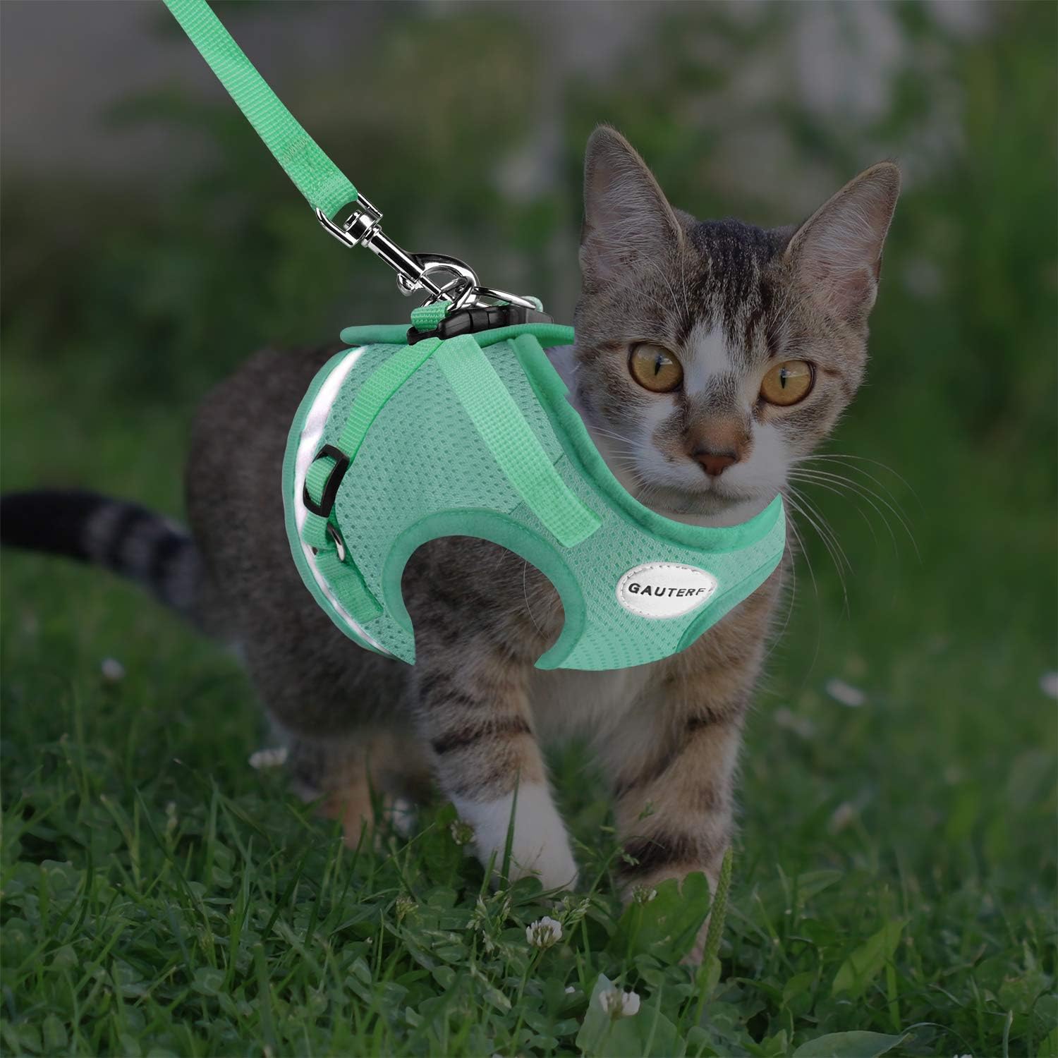 Detalle de Cat Harness and Leash Set, Soft Mesh