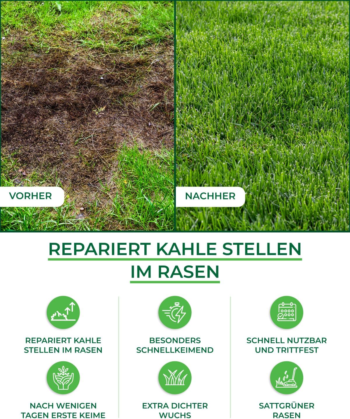 Thumbnail 3 de Rasensamen Schnellkeimend 20kg 🌱