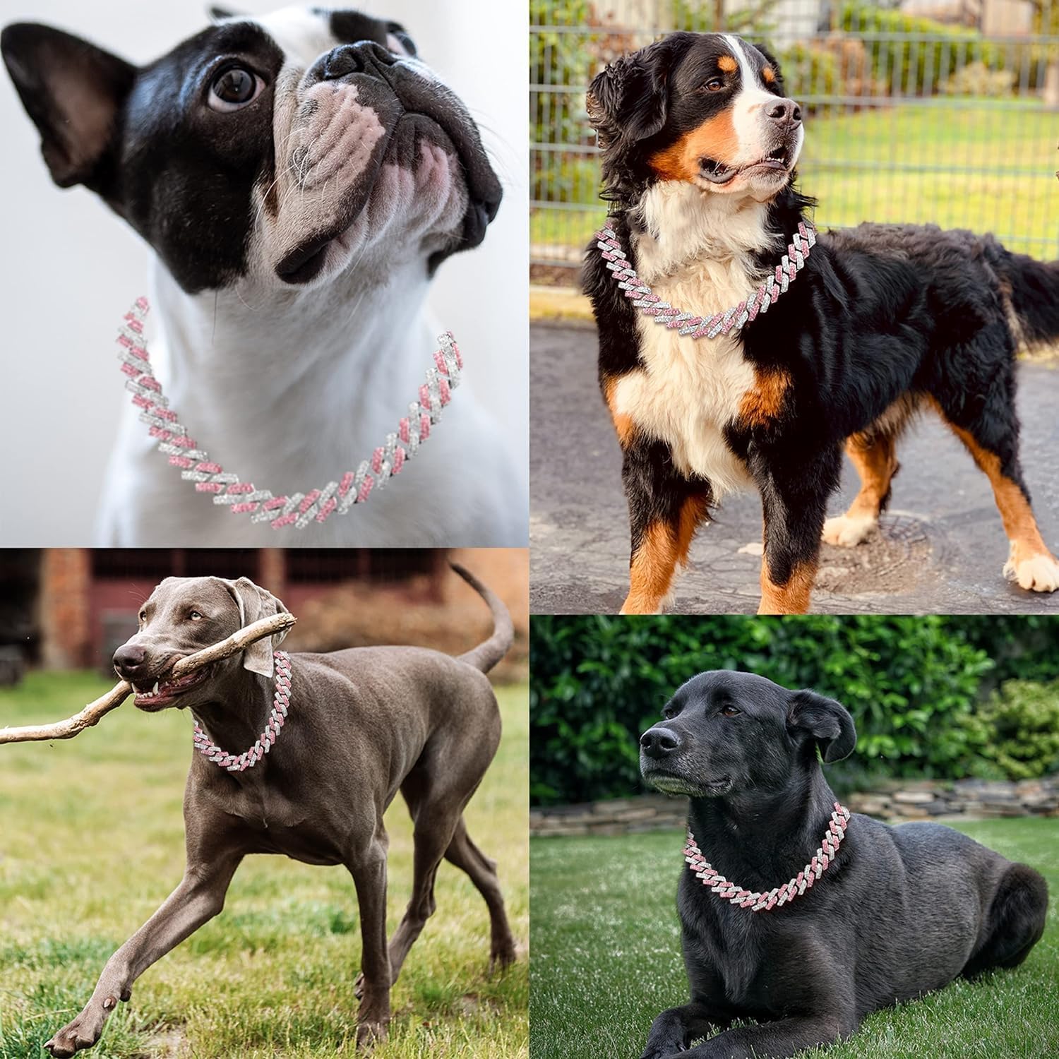 Detalle 2 de Gold Dog Chain, 20-Inch