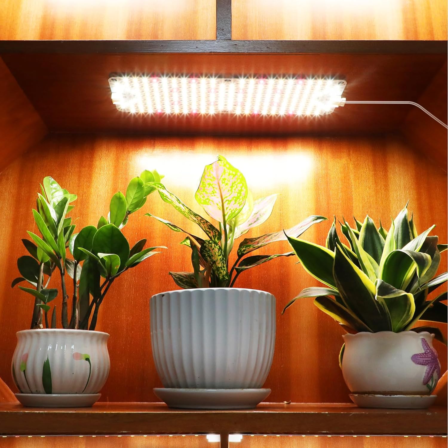 Thumbnail 5 de 6Pack Flat Panel Grow Lights