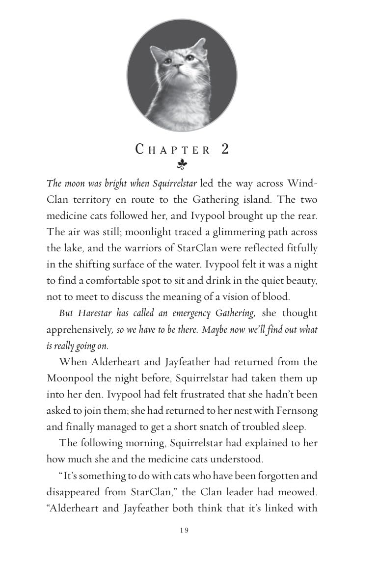 Detalle 2 de HarperCollins Warriors Super Edition: Ivypool's Heart: 17 – kinderboek van 400 pagina's