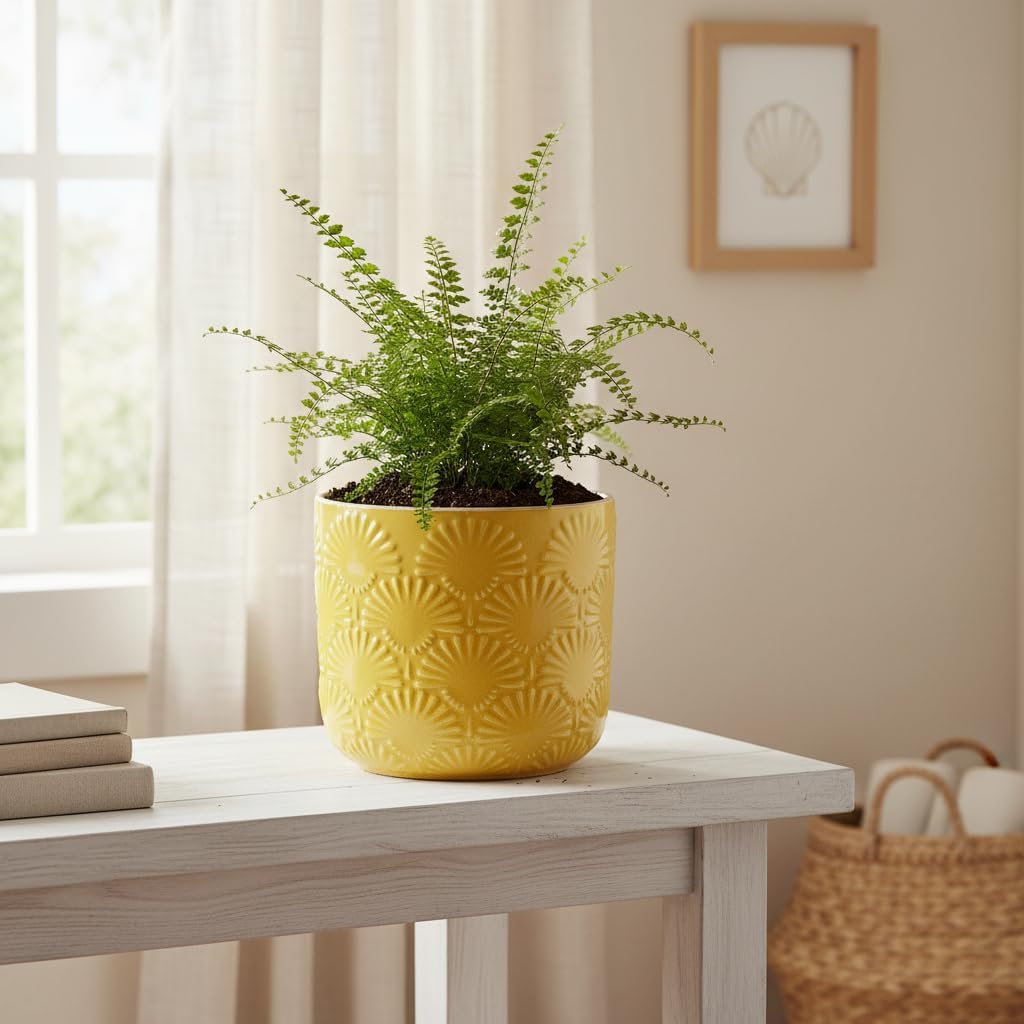 Detalle 2 de Xiaan Jiaju 6.7-Inch Ceramic Planter, Butter Yellow, Embossed with Drainage Hole