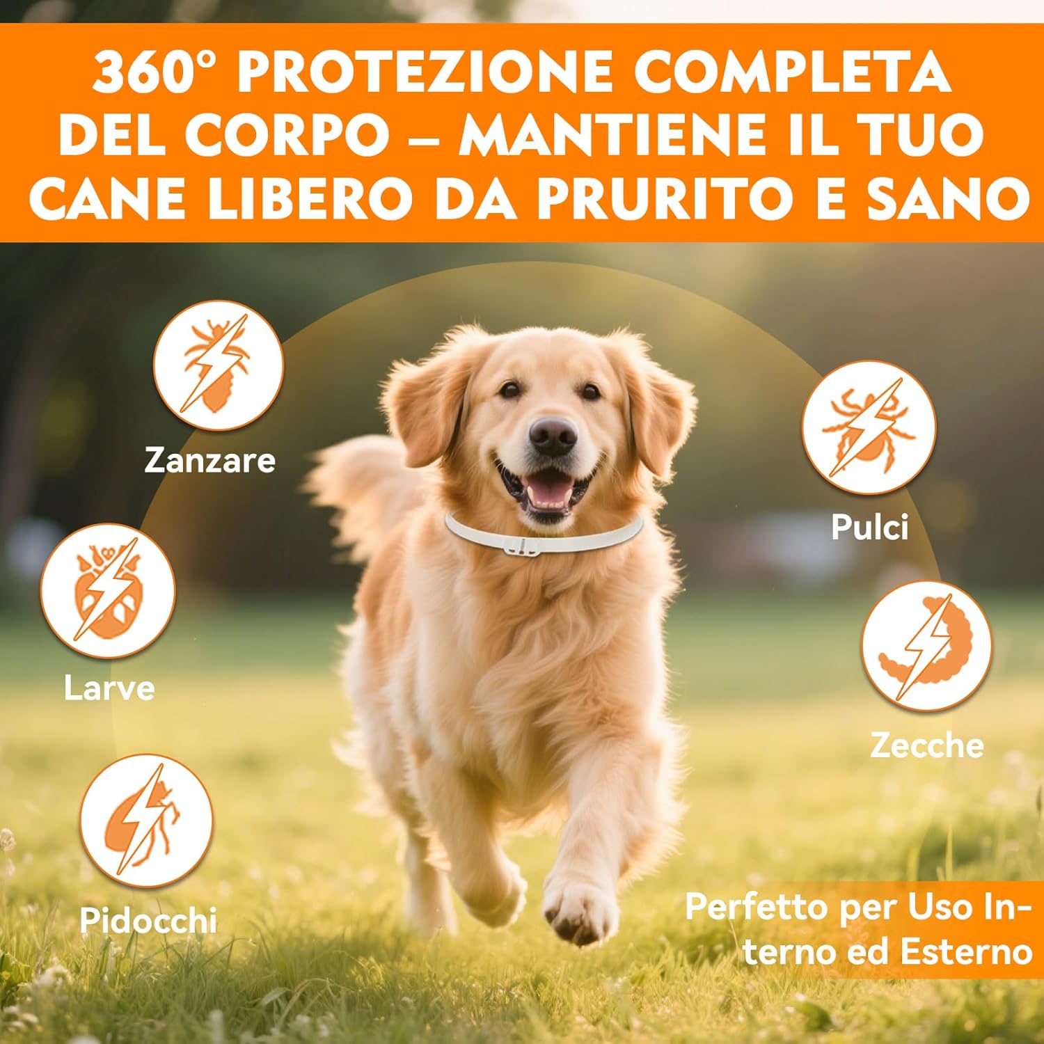 Detalle de Collare antiparassitario per cani Regolabile e Impermeabile – 65 cm, protezione 12 mesi