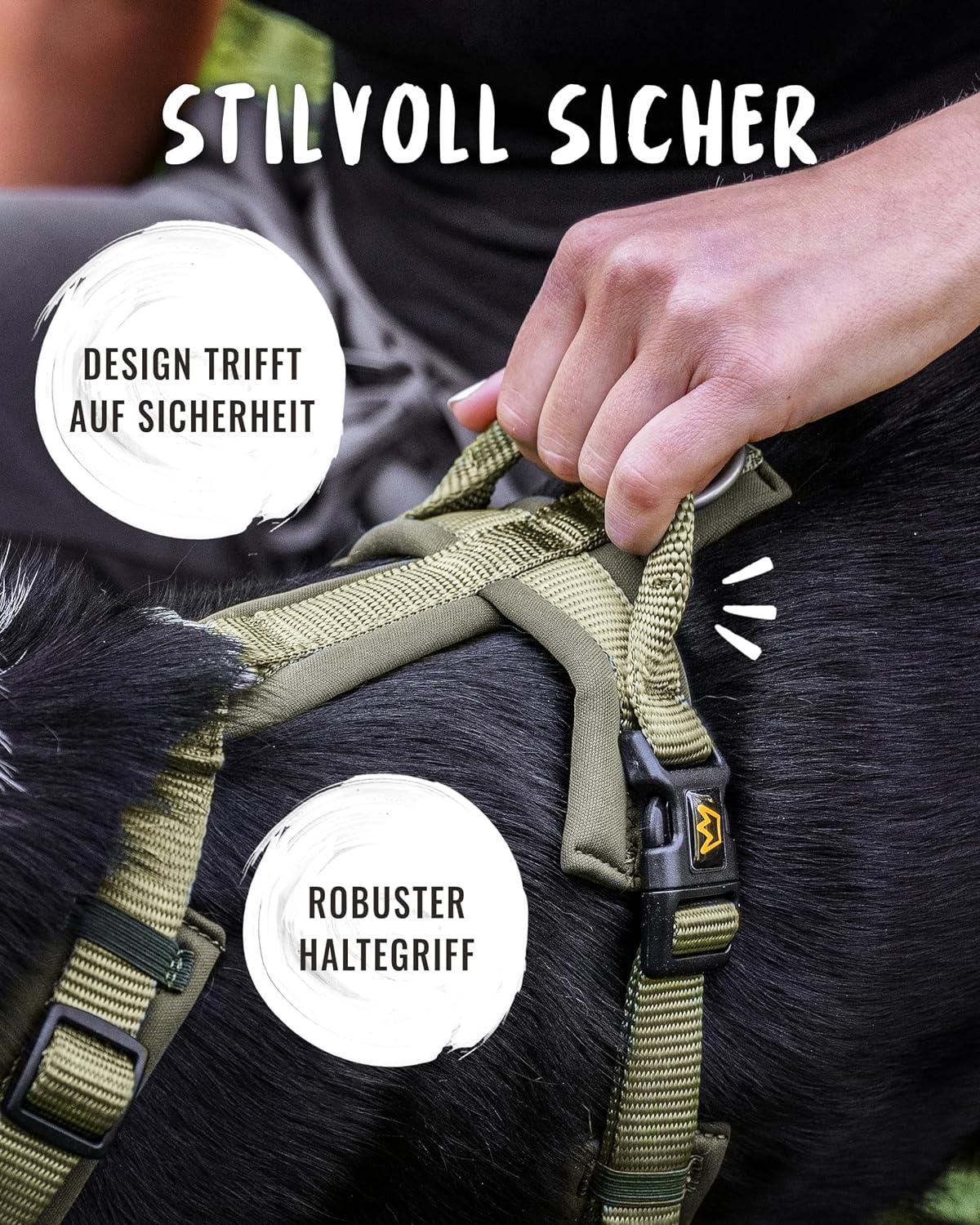 Detalle 2 de Rudelkönig Bella Hundegeschirr đ