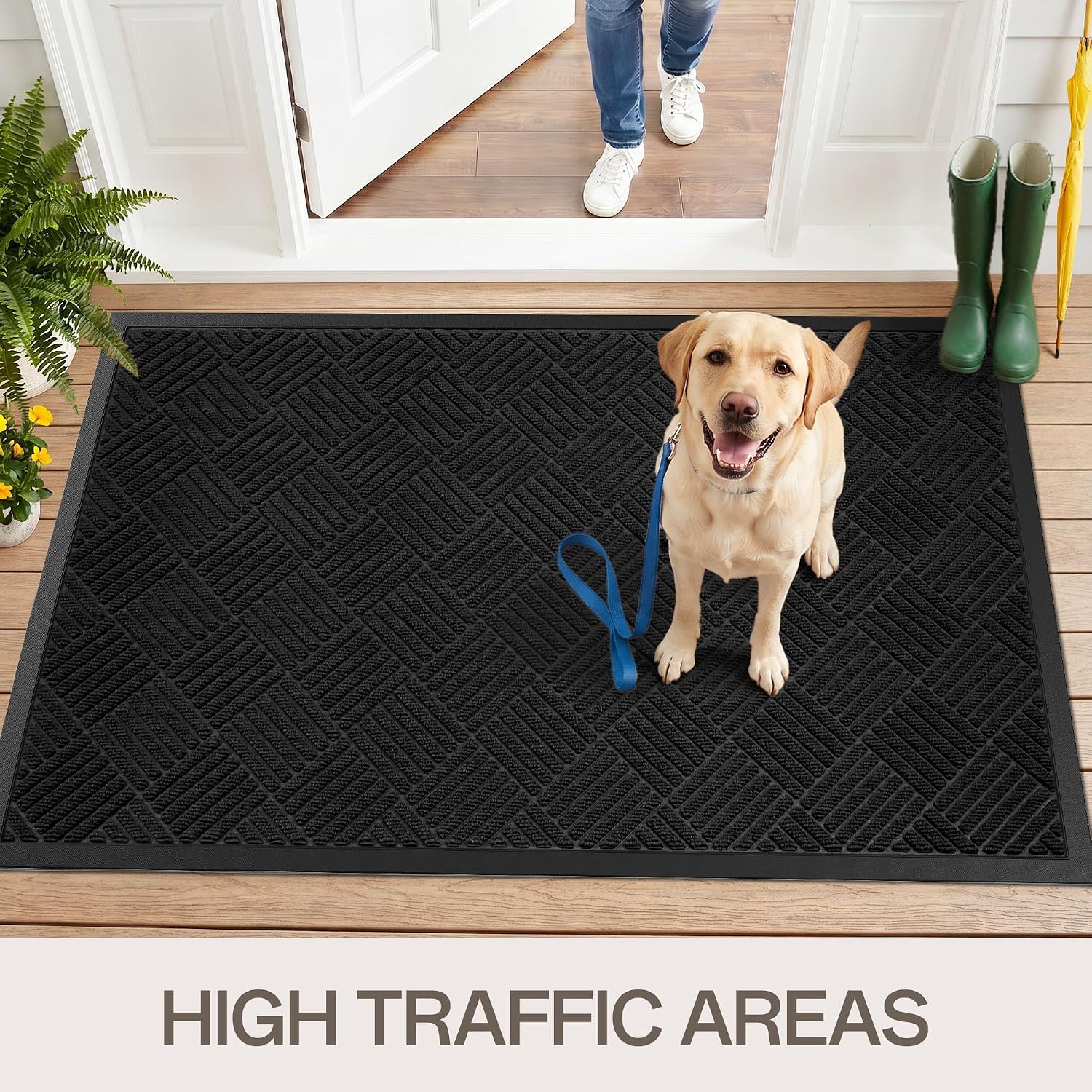 Thumbnail 6 de Amyracel Front Door Mat 3' x 6