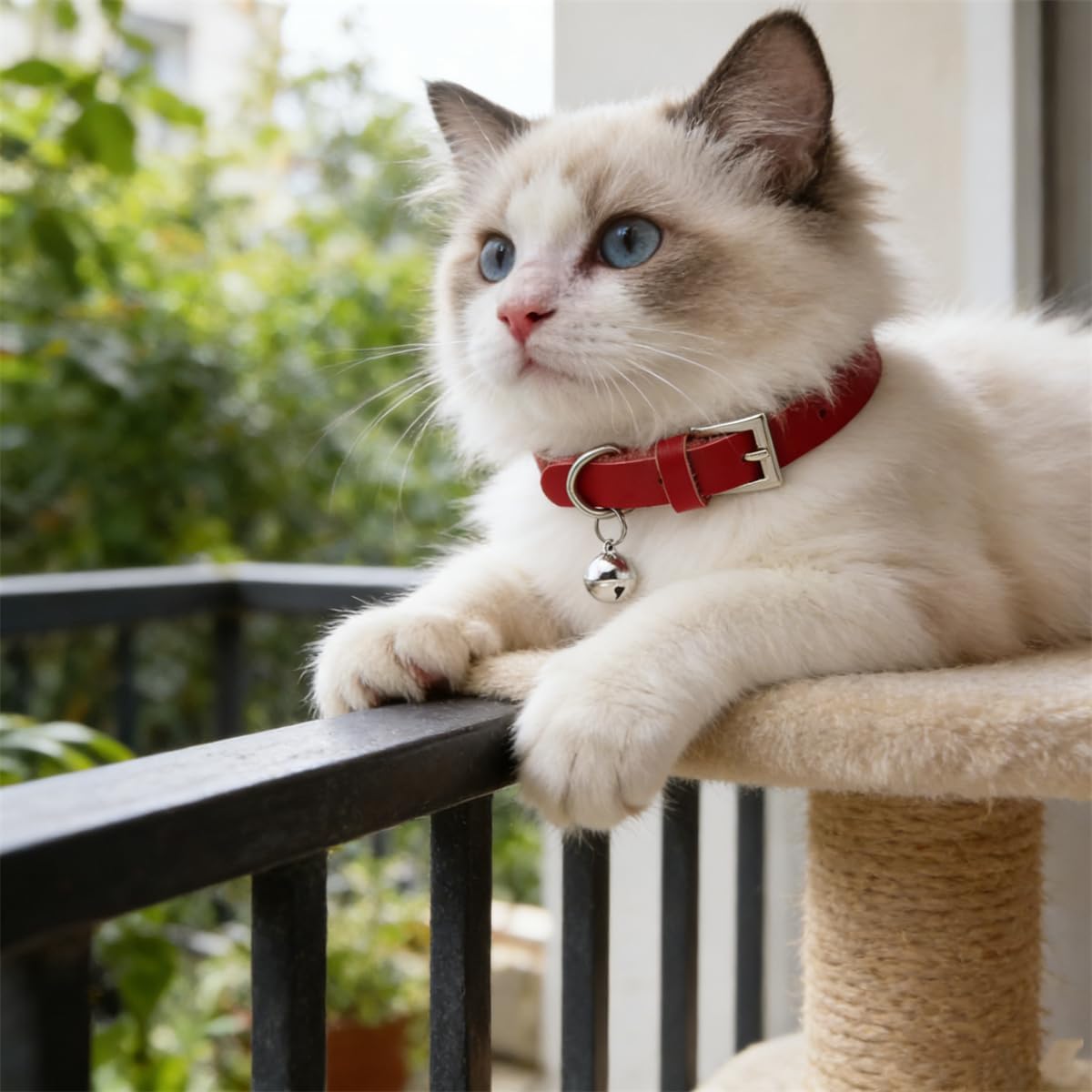 Detalle 2 de Cat Collar with Bell, XS