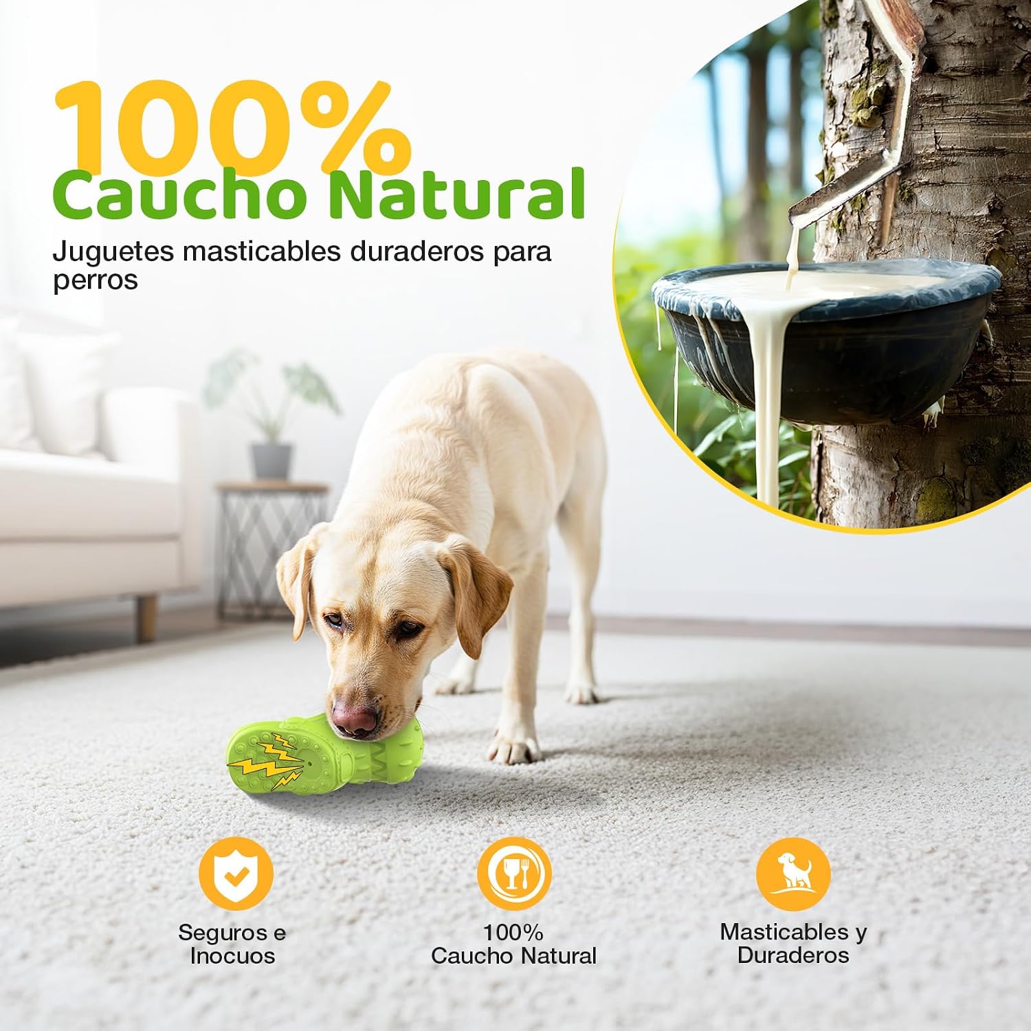 Detalle 2 de RUXAN Juguetes para Masticar perros duraderos