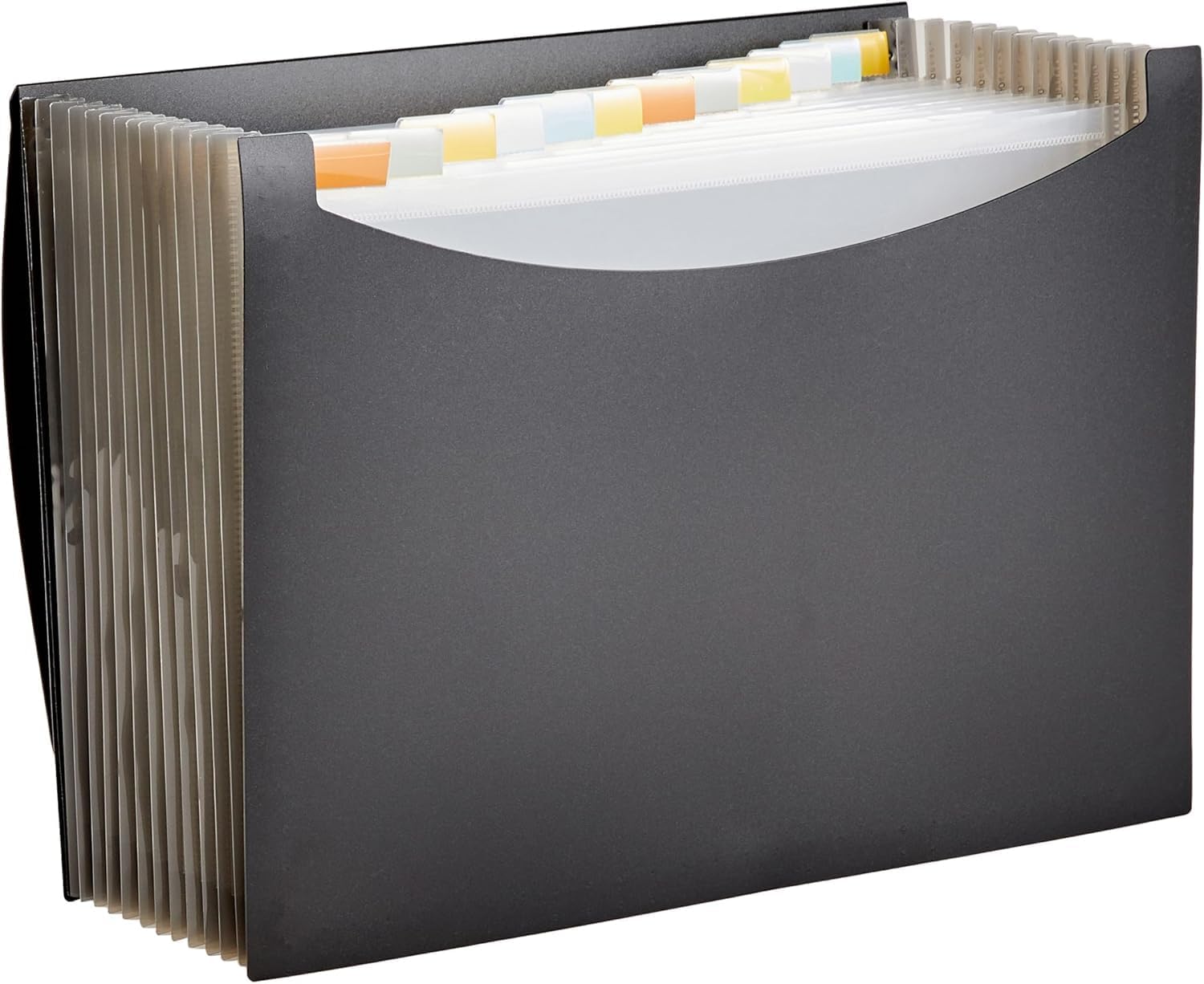 Amazon Basics Expanding File A4 📁