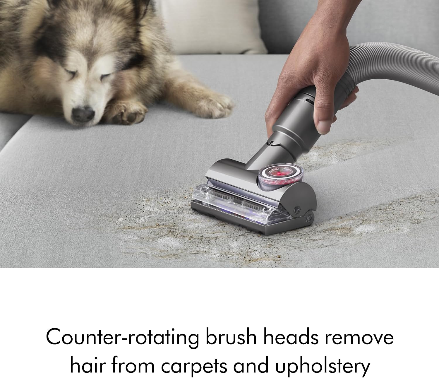 Detalle de Dyson Ball Animal 3 Extra Corded Upright Vacuum with Pet Tools