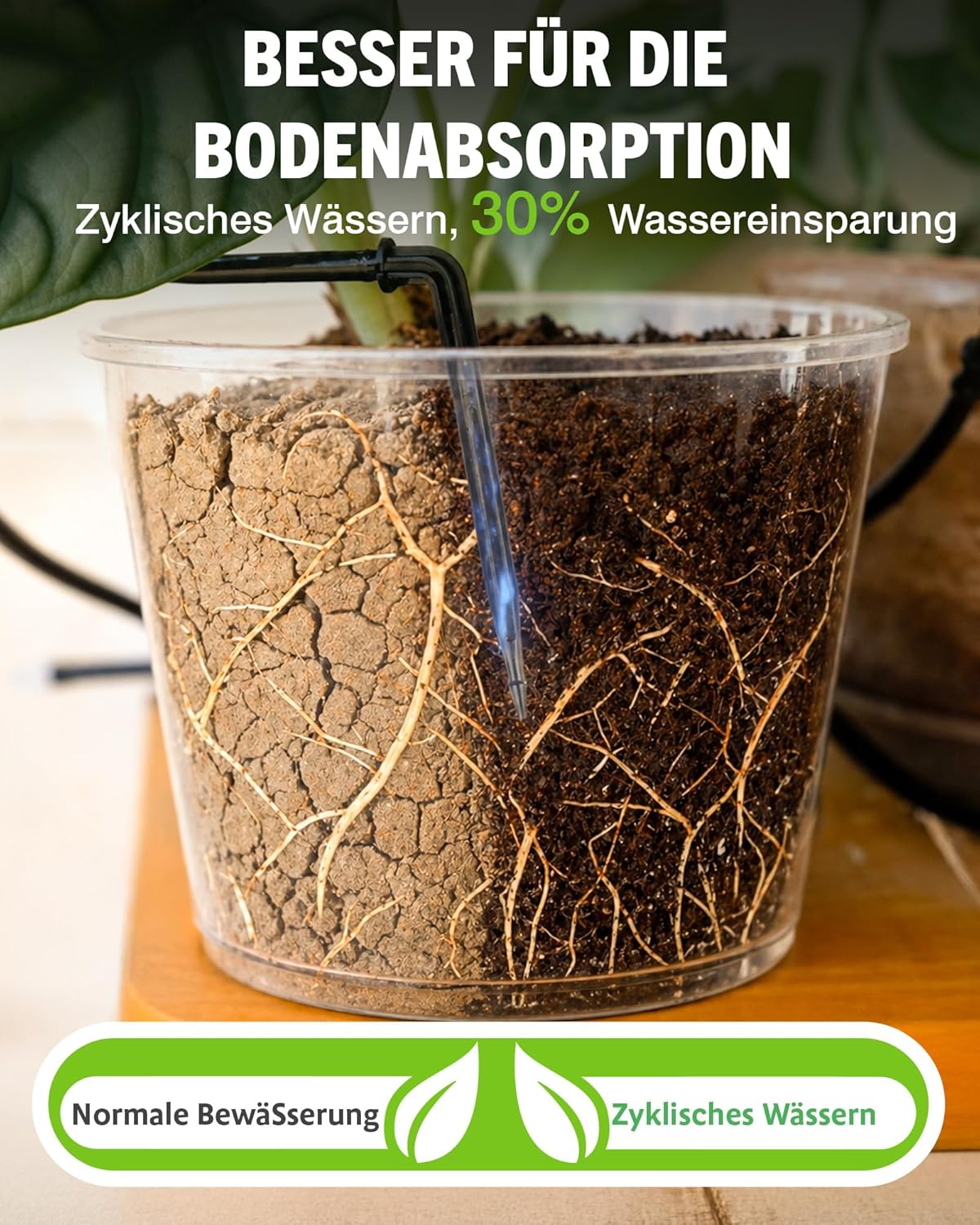 Thumbnail 6 de RAINPOINT Automatisches Bewässerungssystem WiFi – intelligente Bewässerung für 15 Zimmerpflanzen