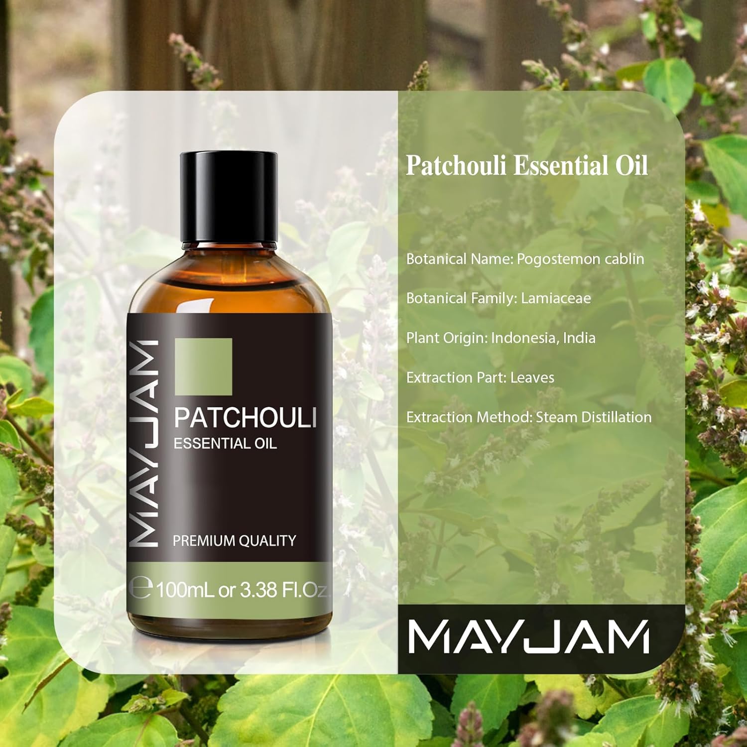 Thumbnail 1 de MAYJAM Patchouli Ätherisches Öl 100 ml – Diffusor, Luftbefeuchter & DIY