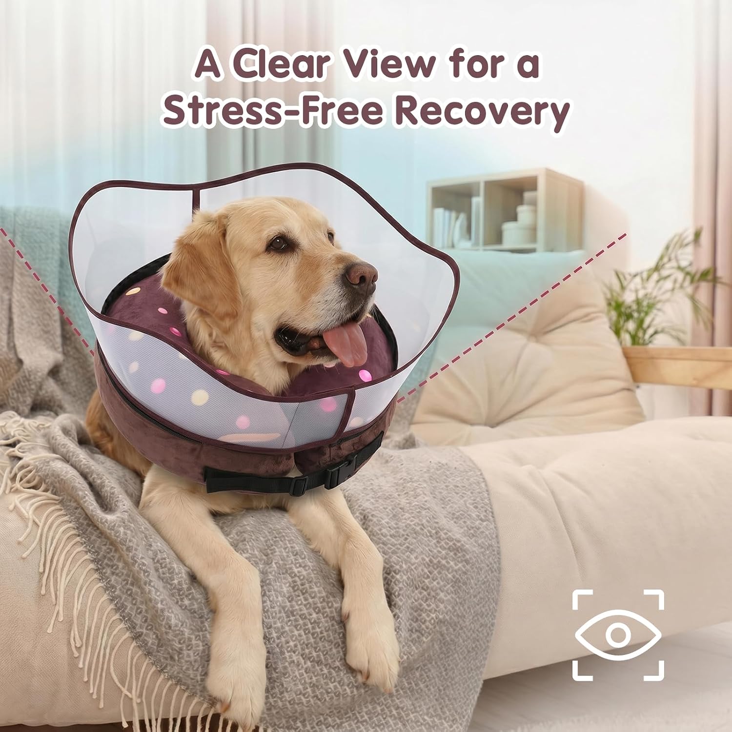 Detalle 2 de Avont Dog Recovery Collar, Size M