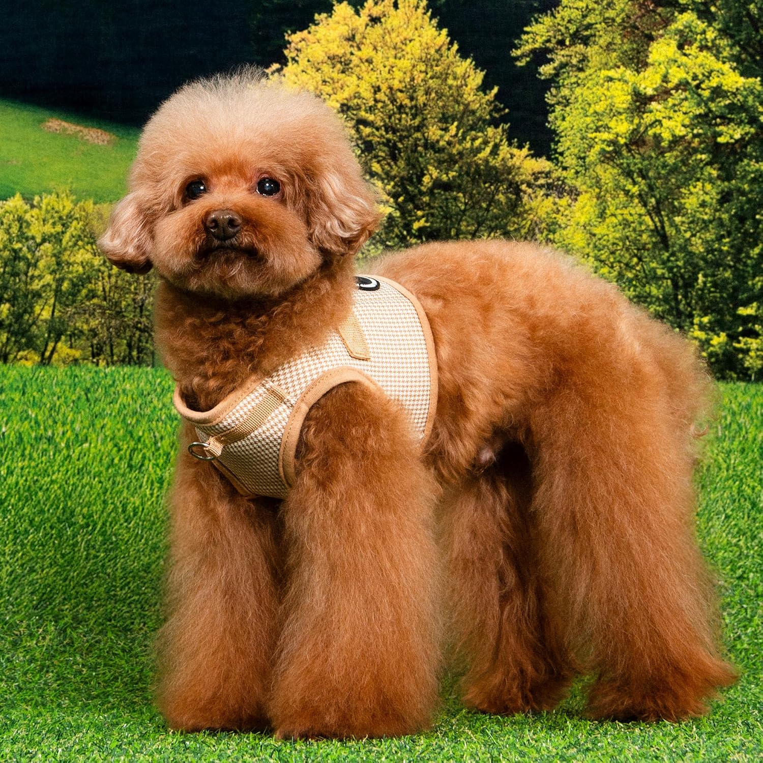 Detalle de Puppia Amatus kamizelka-szelki dla psa M, beżowa pepitka, zapięcie na rzep i klamrę