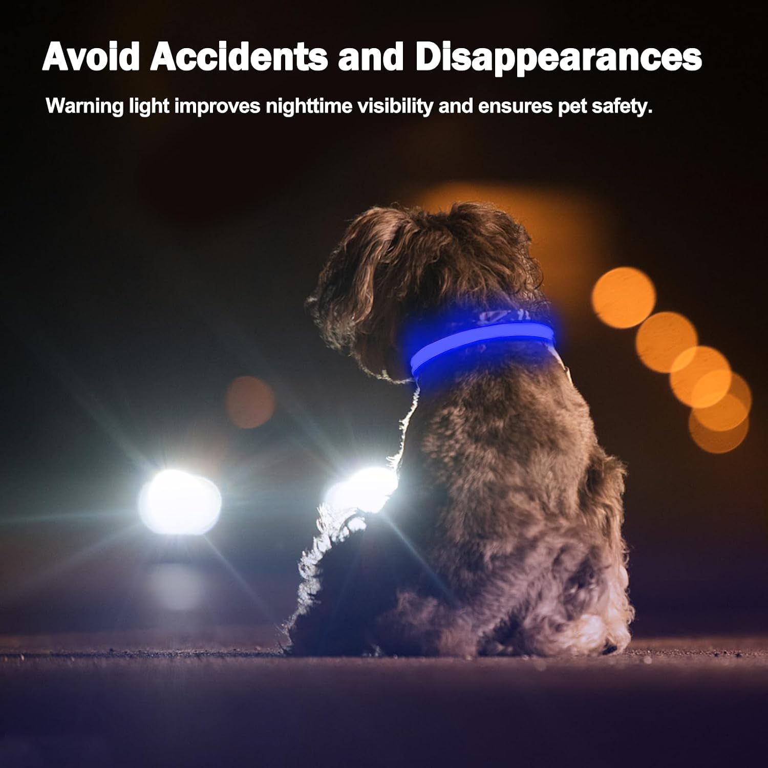 Detalle de Nepfaivy Light Up Dog Collar (Blue-L) with USB Rechargeable LED Lights and 3 Glow Modes