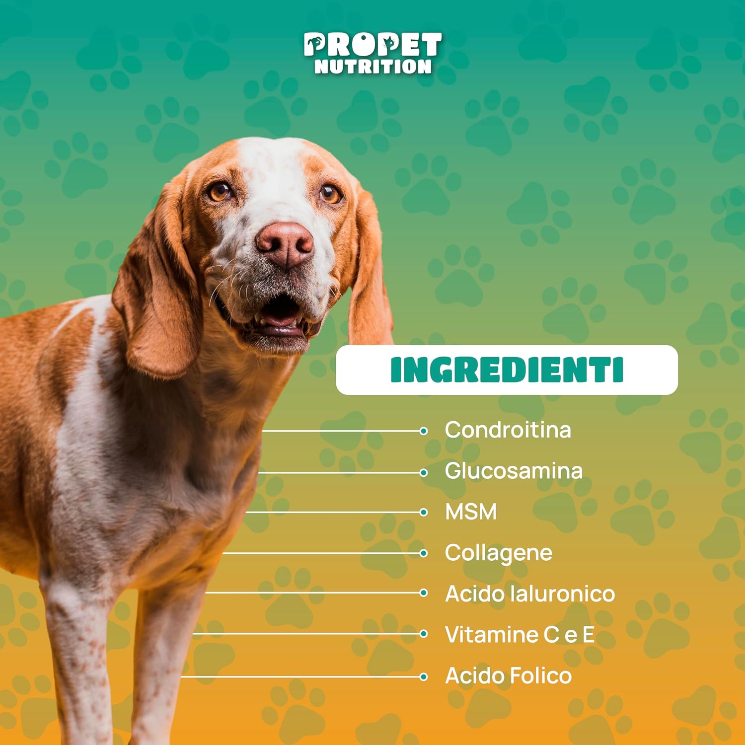Detalle de Integratore Articolazioni Cane – Snack naturali per mobilità e benessere articolare