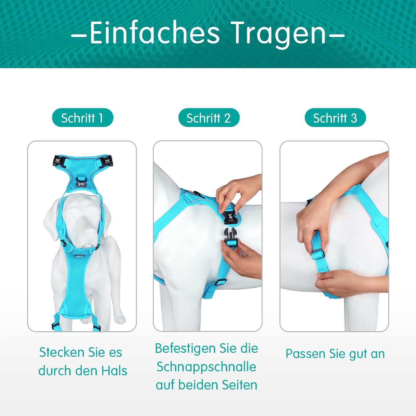 Detalle 2 de PoyPet Reflektierendes, weiches Netz-Hundegeschirr in Blau, XL – atmungsaktiv, doppelt gepolstert, verstellbares Hals- und Brustdesign