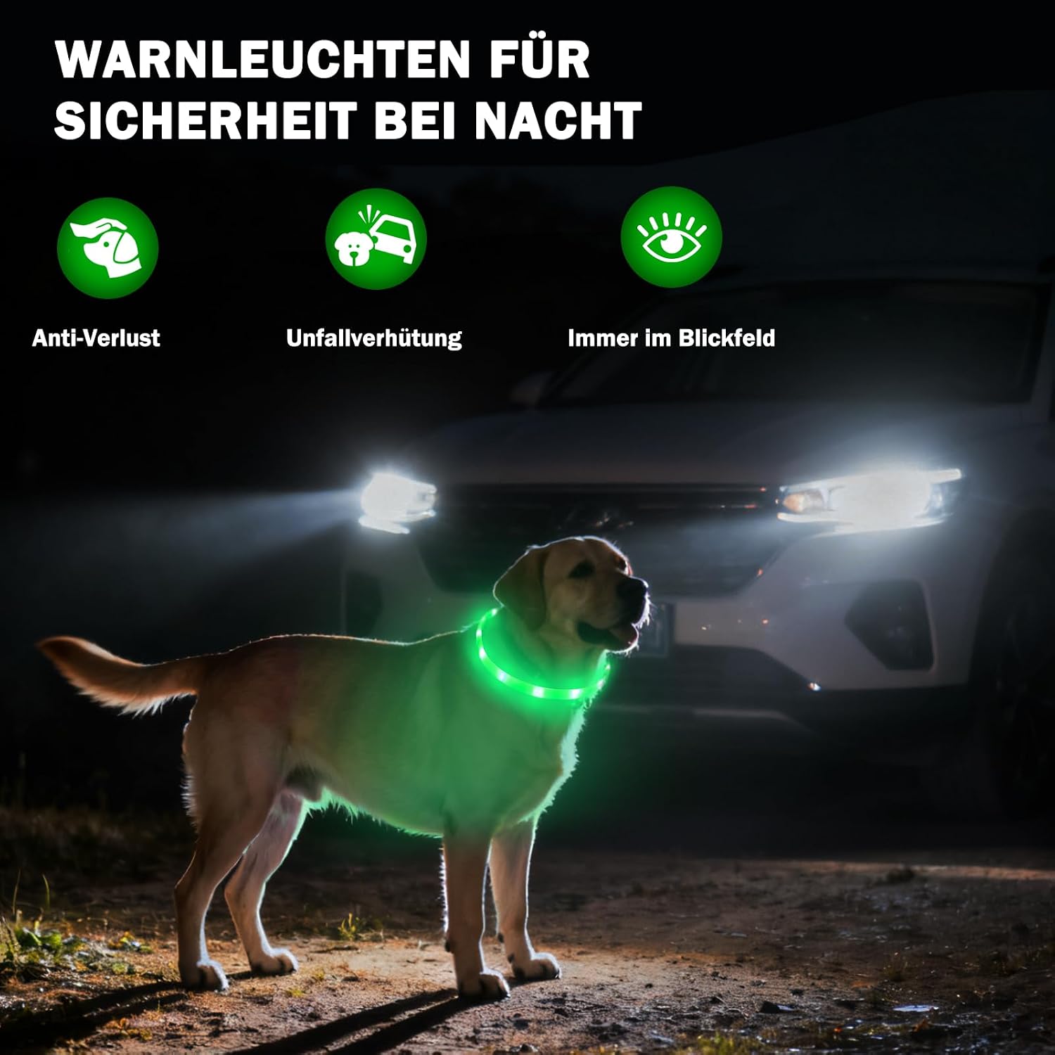 Thumbnail 5 de Leuchthalsband Hund 70 cm USB, grün