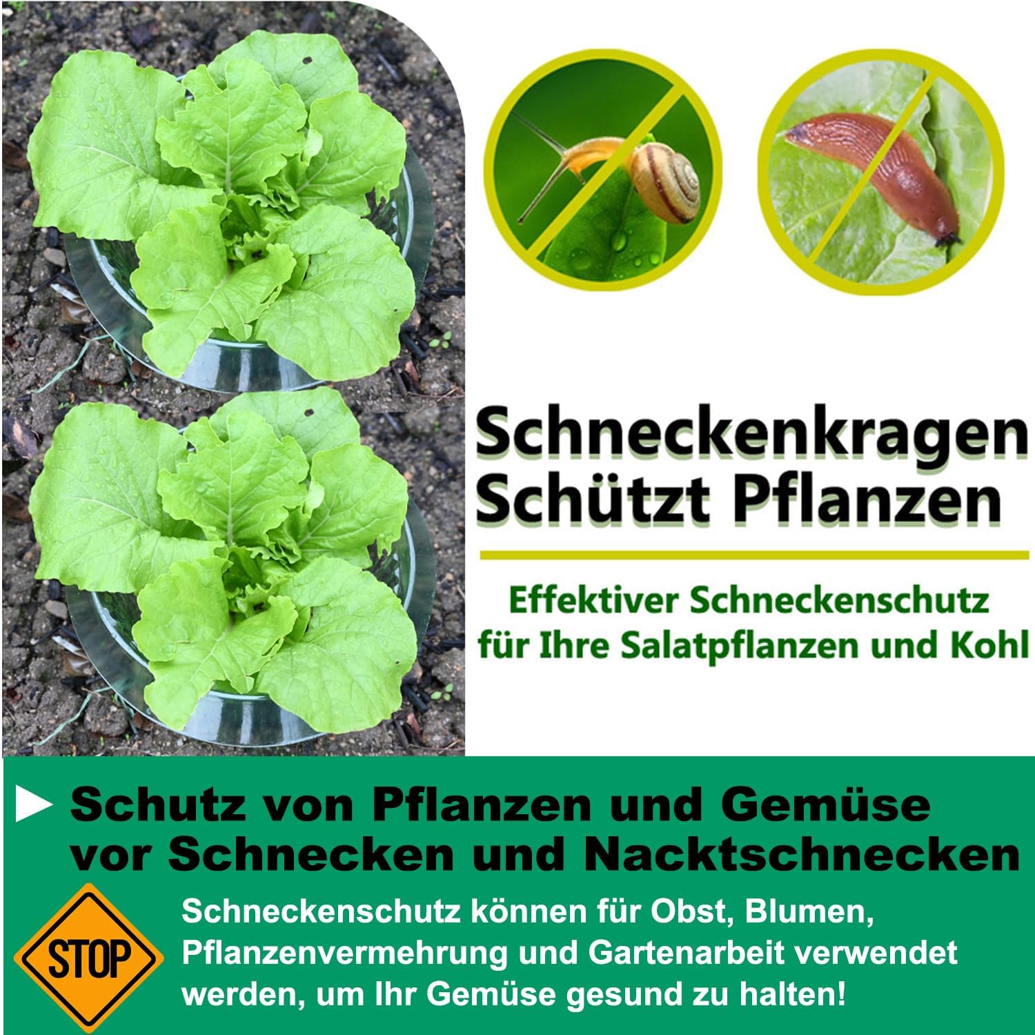 Thumbnail 2 de VDYXEW 30er Schneckenkragen aus PET – verstärkter Schneckenschutz für Salat & Kohl