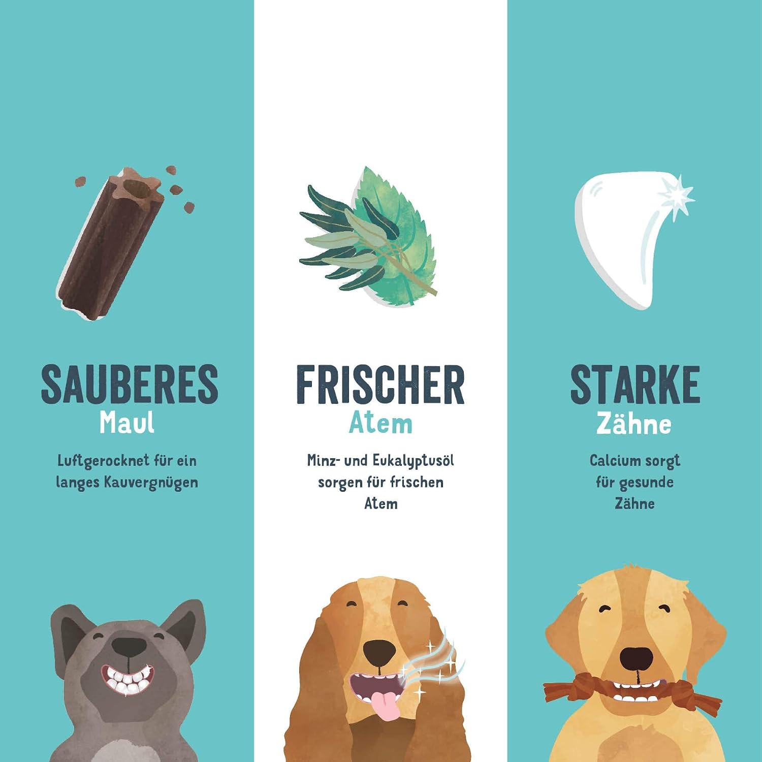 Detalle de Edgard & Cooper Dental Stick für große Hunde – Natural 56er Pack (8x7 Kausticks)