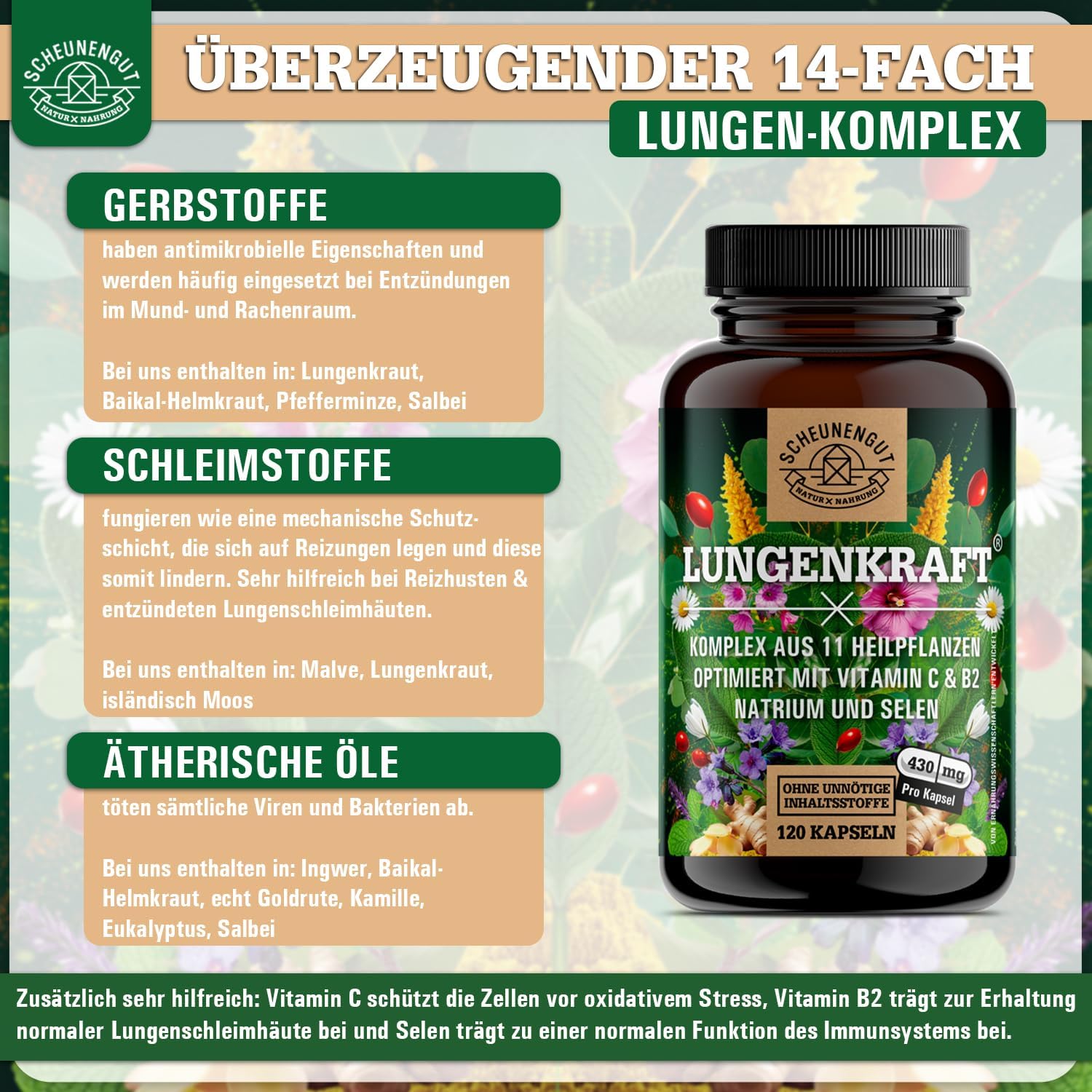 Detalle de LUNGENKRAFT® Lungenkraut Kapseln 120 Stk