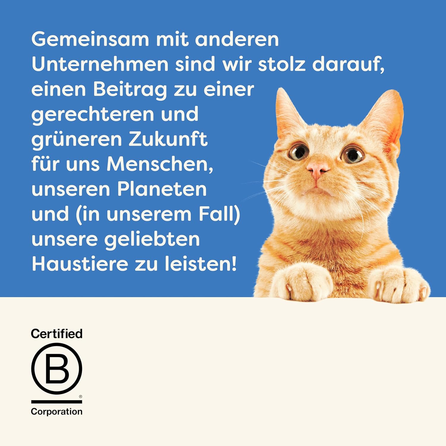 Detalle 2 de Applaws 100% natürlicher getreidefreier cremiger Lachssnack für Katzen – 32 Beutel
