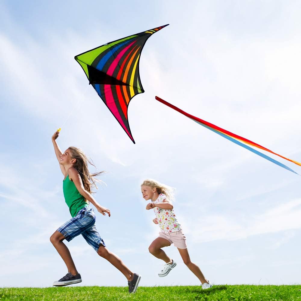 Detalle 2 de Mint's Colorful Life Delta Kite — Easy-to-Fly Beach Kite for Kids & Adults