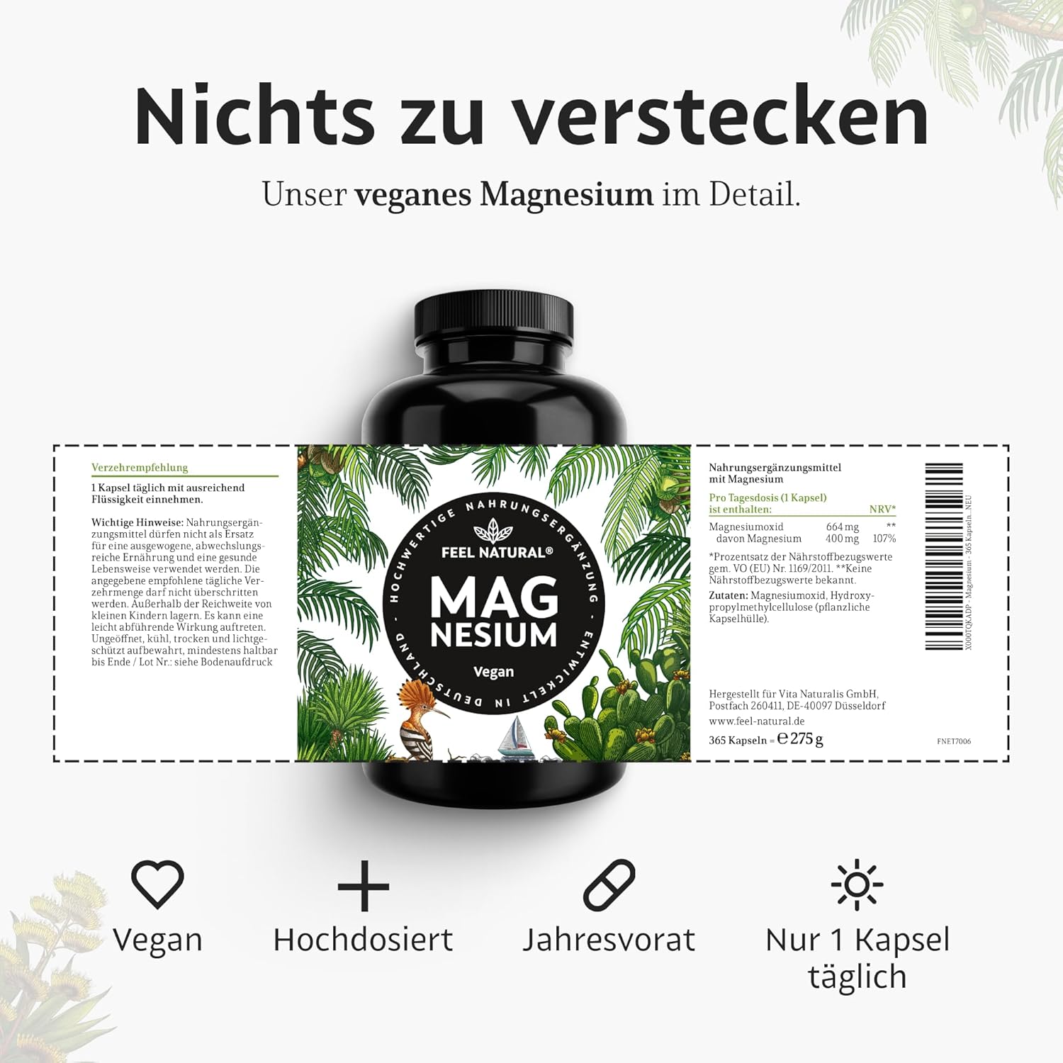 Thumbnail 5 de Magnesium hochdosiert Kapseln 365 Stück – 664 mg je Kapsel 💊