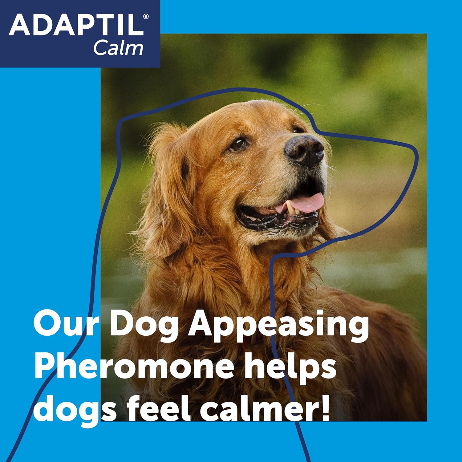 Detalle 2 de Adaptil Calm Home Diffuser for Dogs with 30 Day Refill – Calming pheromone diffuser to ease anxiety in dogs