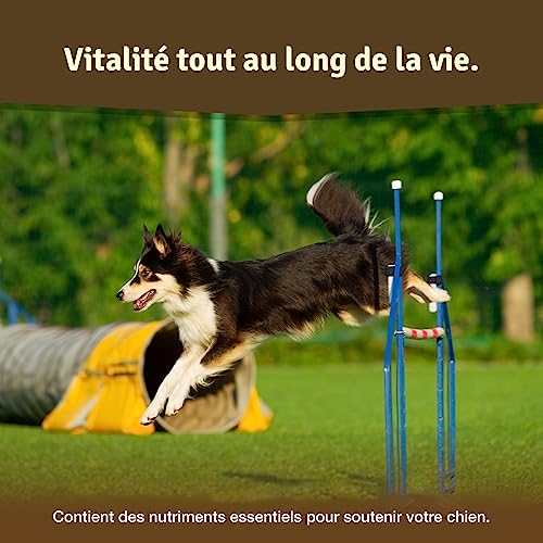 Detalle de Veddelholzer Comprimés articulations pour chiens – moules vertes, MSM, Griffe du Diable, glucosamine et collagène, 125 comprimés