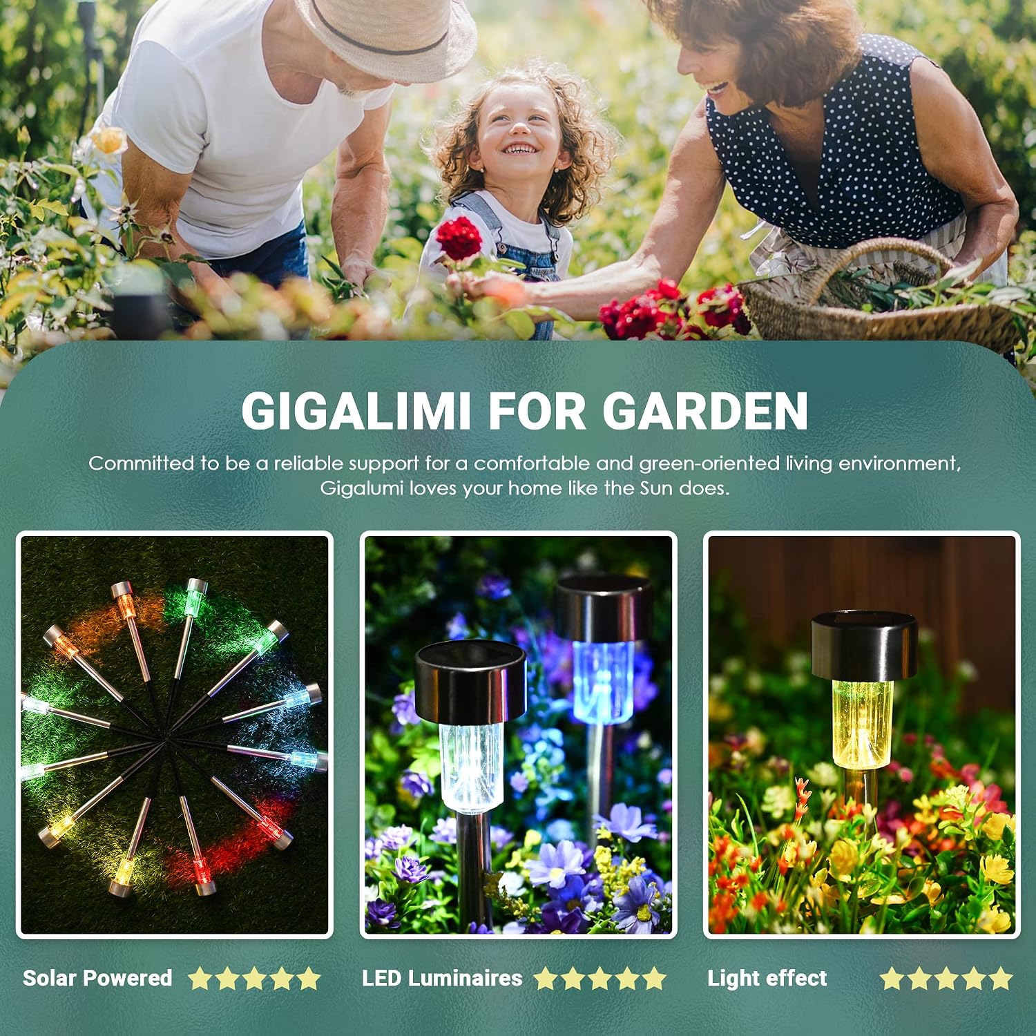 Detalle de GIGALUMI Solarlampen für außen – 12 Solar-Wegleuchten für Garten, Balkon & Terrasse (Farbwechsel)
