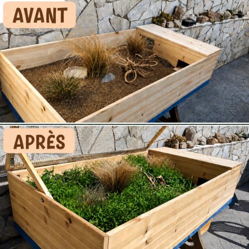 Thumbnail 6 de AF® - Graine Tortue Terrestre à Semer, Mélange 4 Plantes Sauvages pour Testudo Hermann en Enclos | 40g