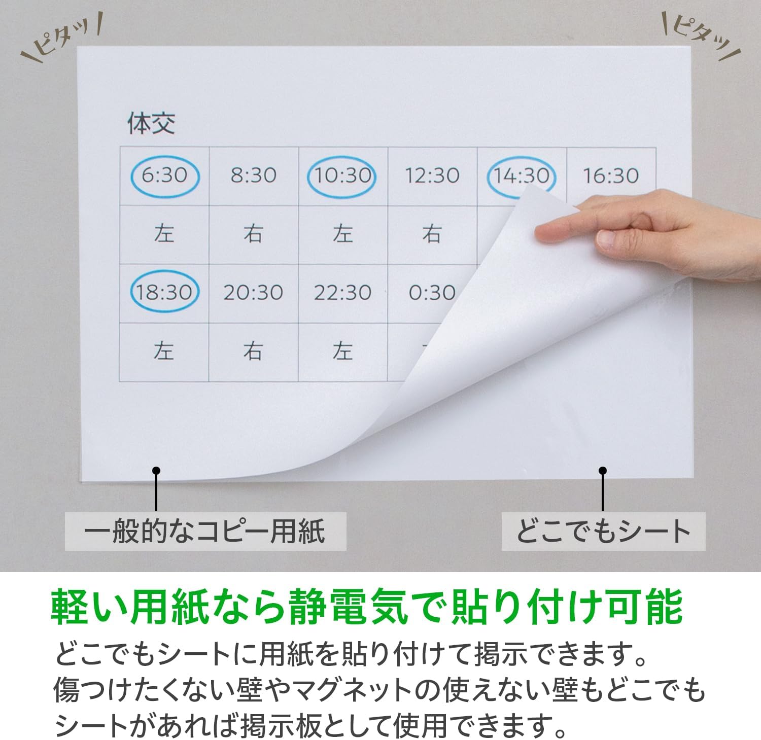 Thumbnail 6 de セーラー万年筆 どこでもシート 31-3500-000 ホワイトボード用ロールシート 600mm幅・20m巻