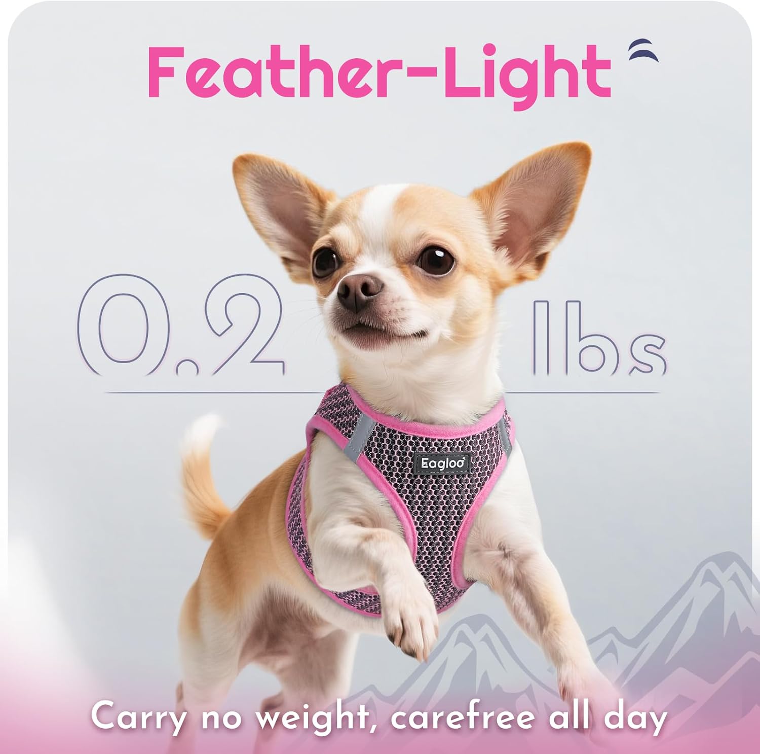 Detalle 1 de Eagloo Small Dog Harness XXS