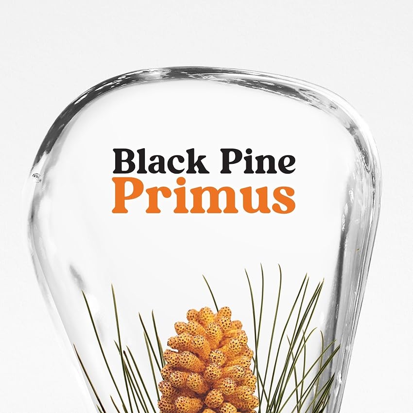 Thumbnail 5 de KORRES BLACK PINE PRIMUS Crema de día alisadora 40 ml