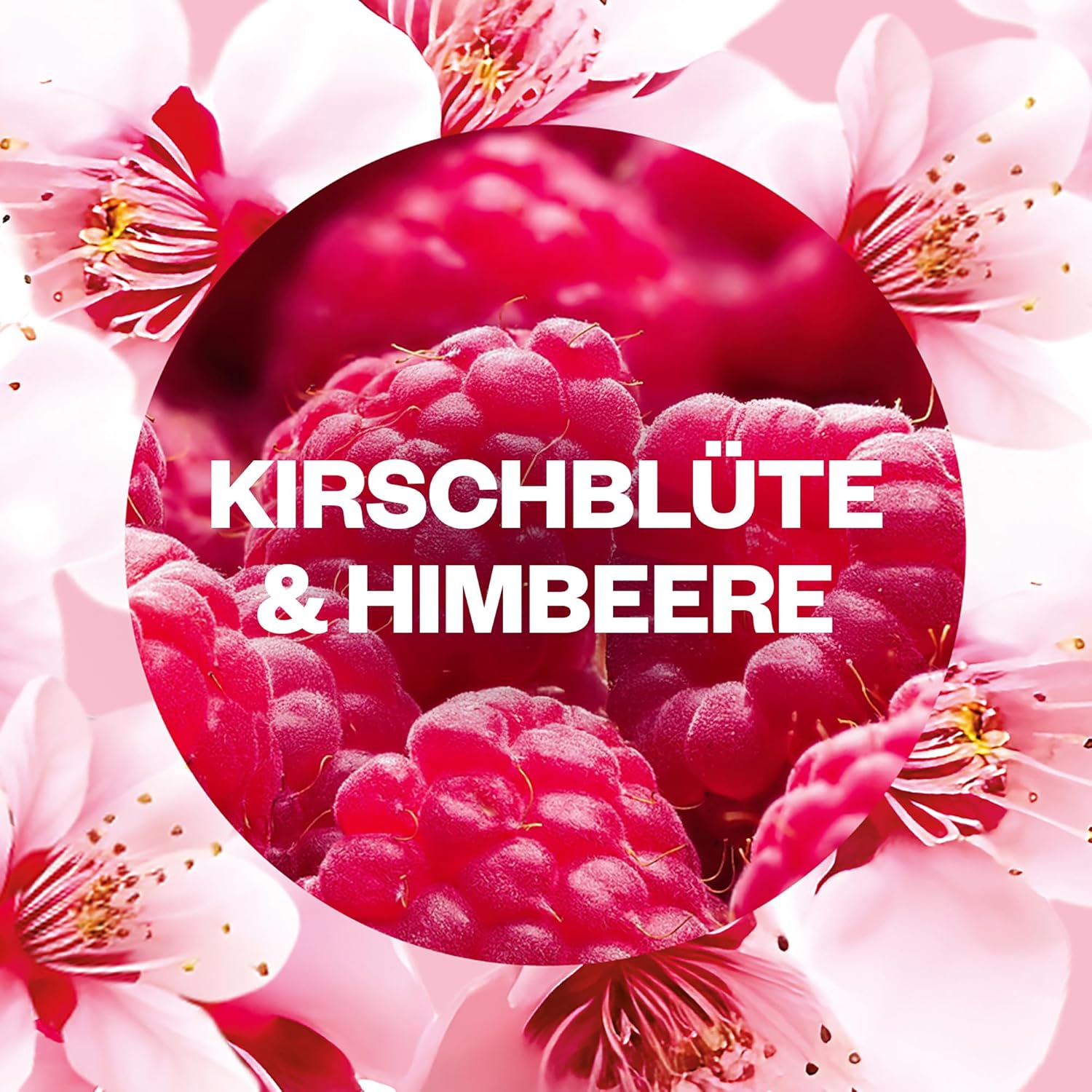 Thumbnail 6 de Air Wick Duftstecker Nachfüller Kirschblüte & Himbeere – 6x 19 ml Fruchtig-Floral, energiesparend