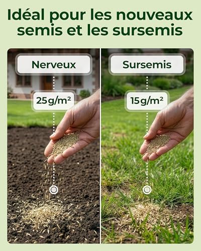 Thumbnail 8 de Natureflow Gazon Regarnissage Rapide 0,5 kg (20 m2) – Pelouse à semer, croissance rapide et autoréparation naturelle