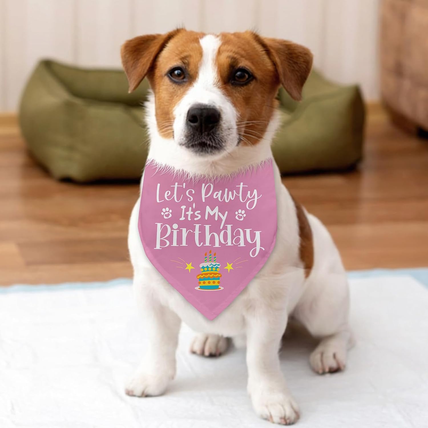 Detalle 1 de Birthday Dog Bandana, Adjustable