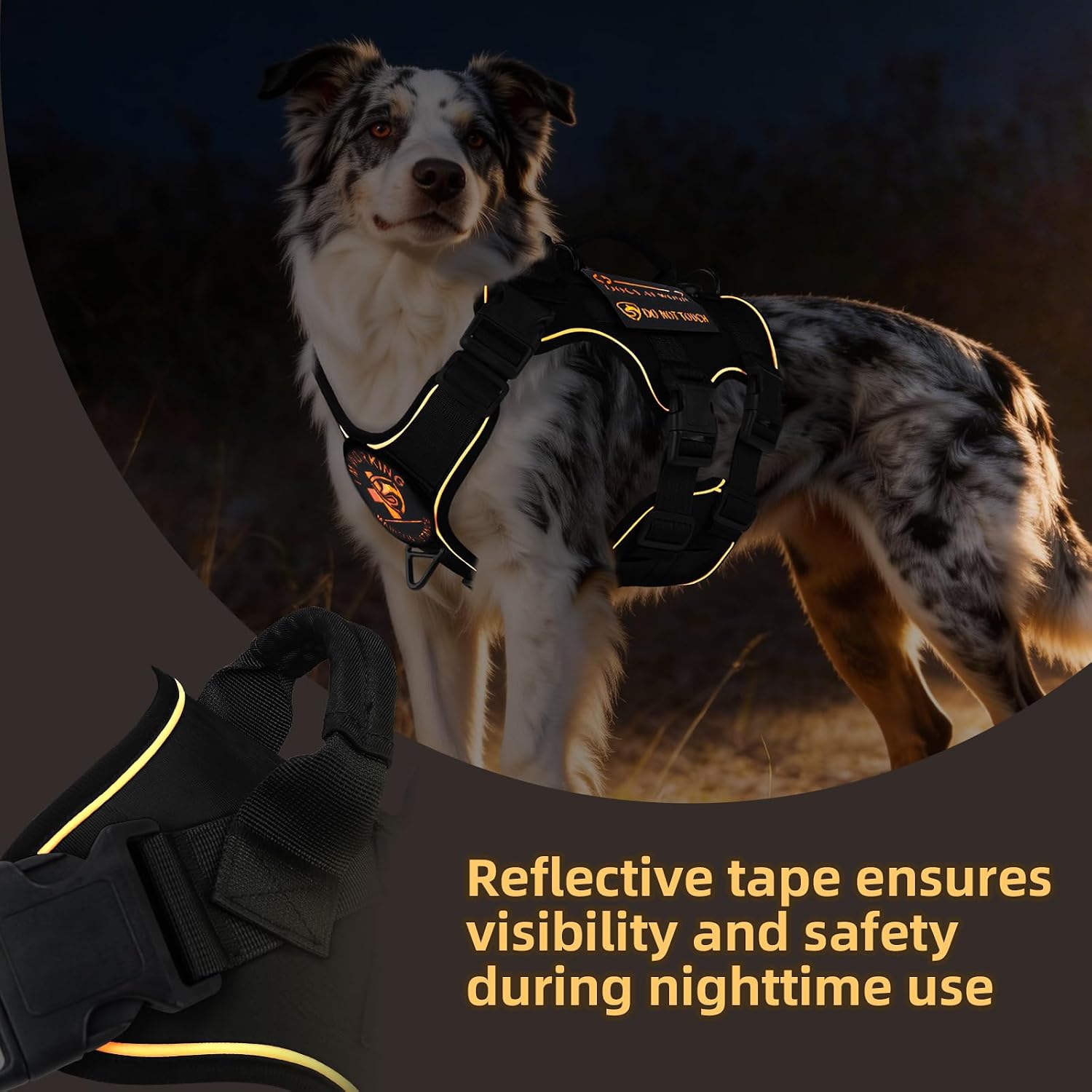 Detalle 1 de Dog Harness, Size M