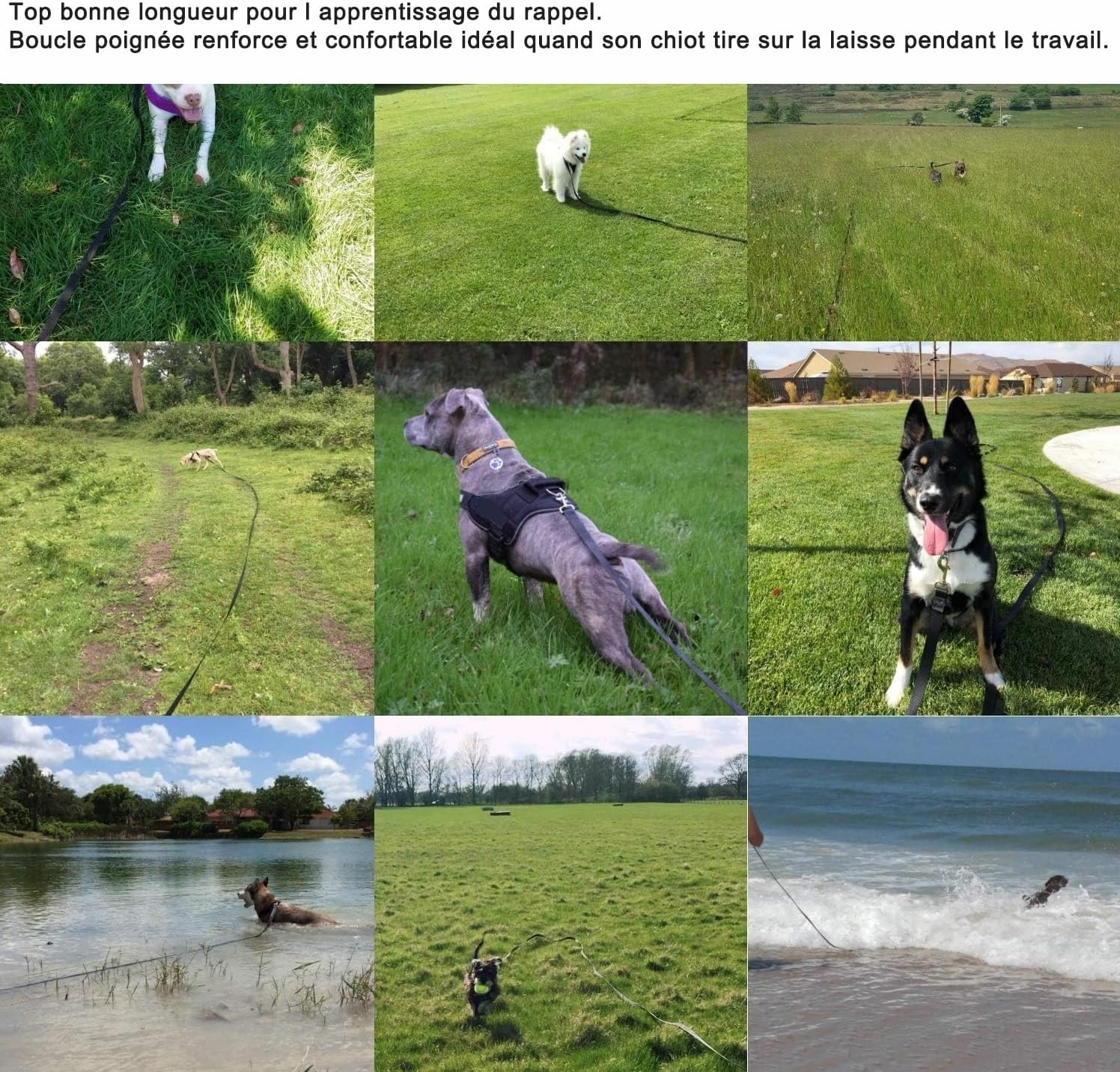Detalle de Comfen longe pour chien 5 m à 30 m avec poignée de dressage