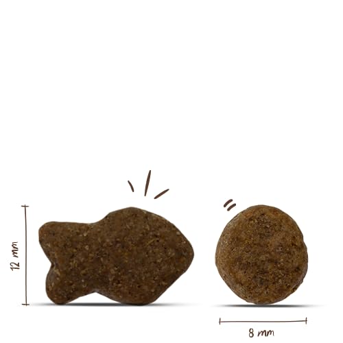 Thumbnail 2 de Bosch HPC Adult mit Fisch & Kartoffel – Trockenfutter für ausgewachsene Hunde aller Rassen, 15 kg