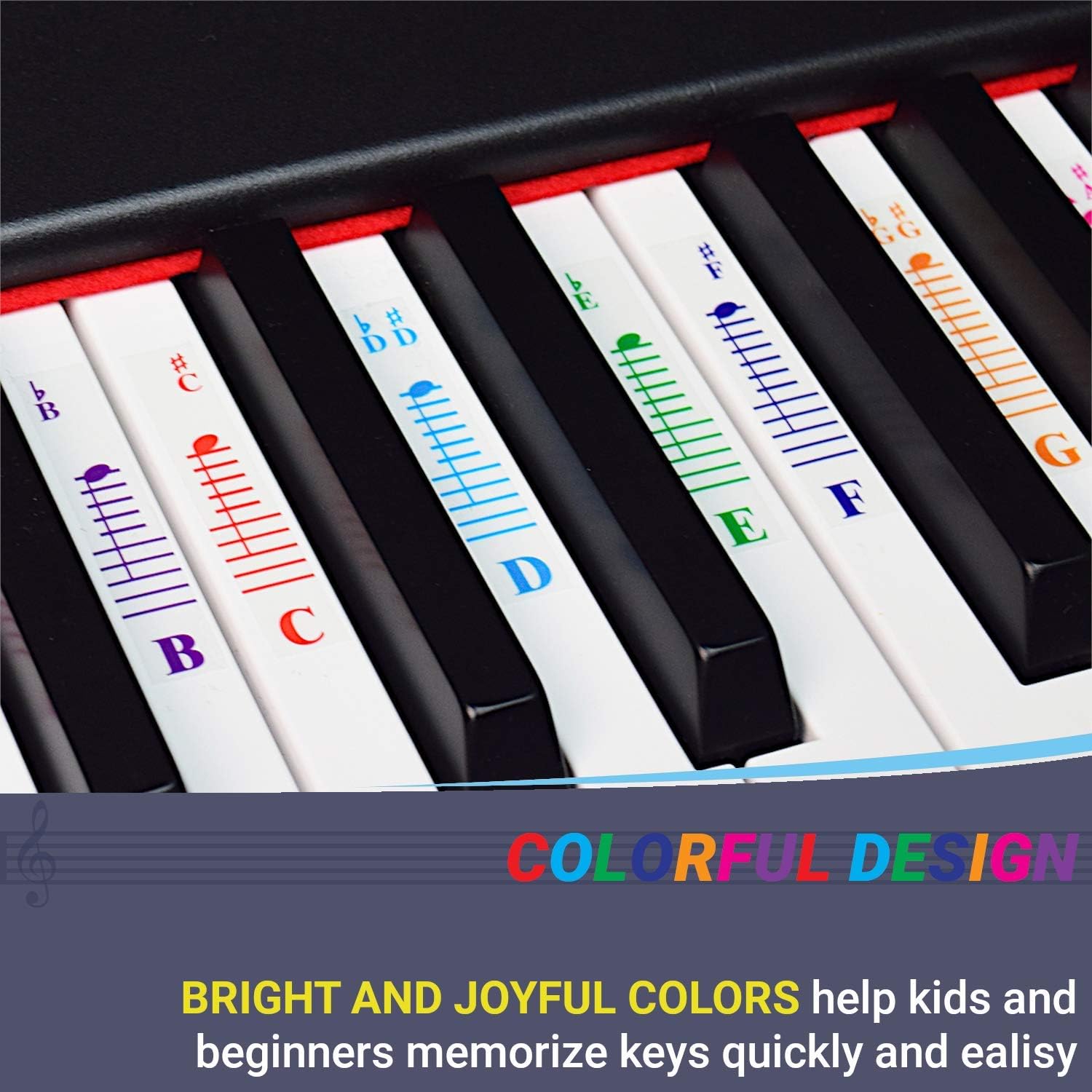 Detalle 2 de QMG Piano Key Stickers, Transparent Vinyl