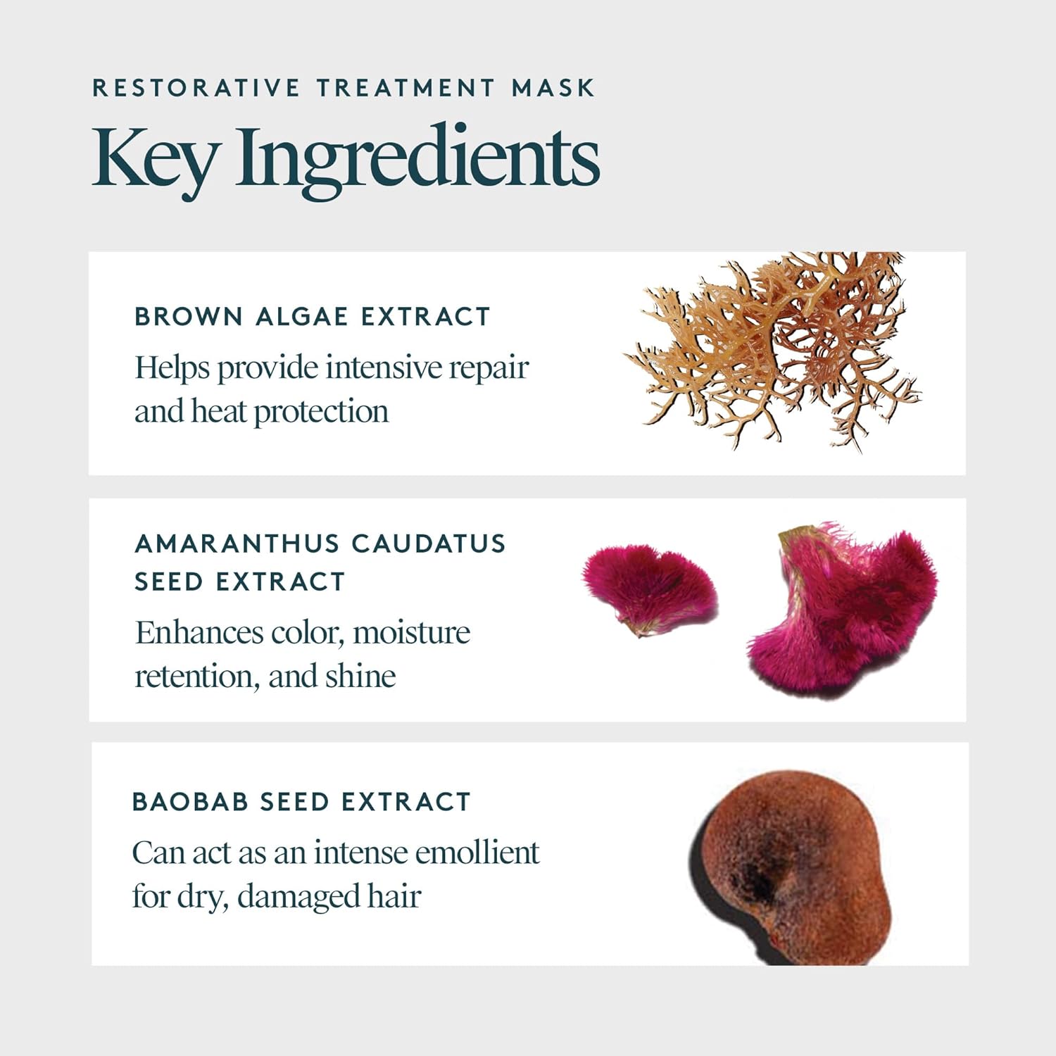 Detalle 2 de Virtue Restorative Hair Mask with Keratin & Baobab Seed Oil — Deep Repair for Damaged Hair
