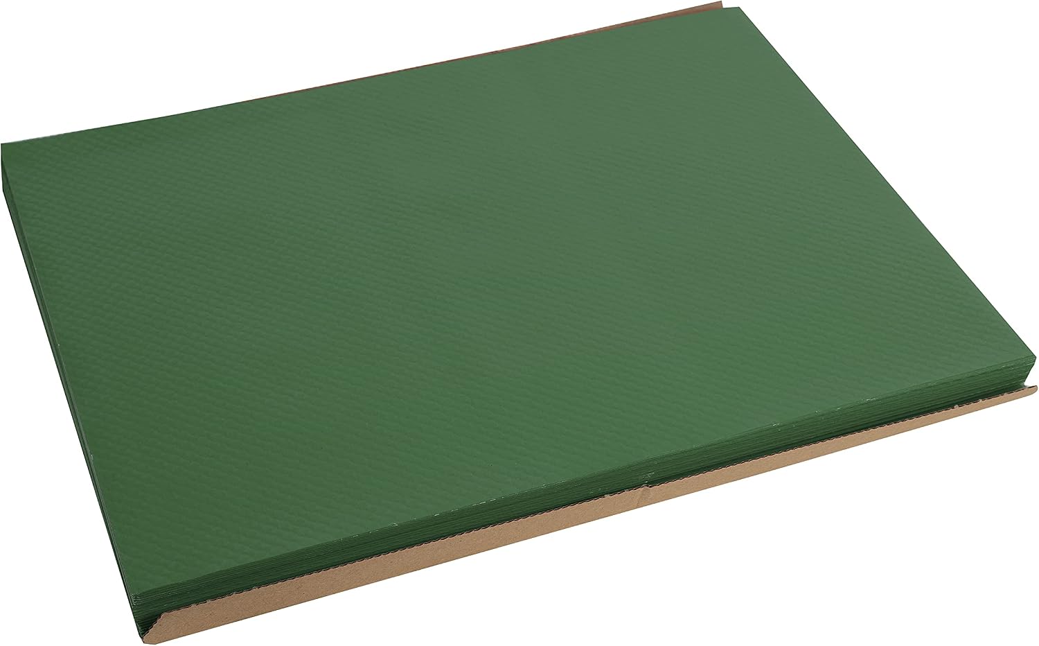 Detalle 2 de Pro Nappe Réf 304018I – Set de table jetable 30x40 cm, vert sapin, barquette 500