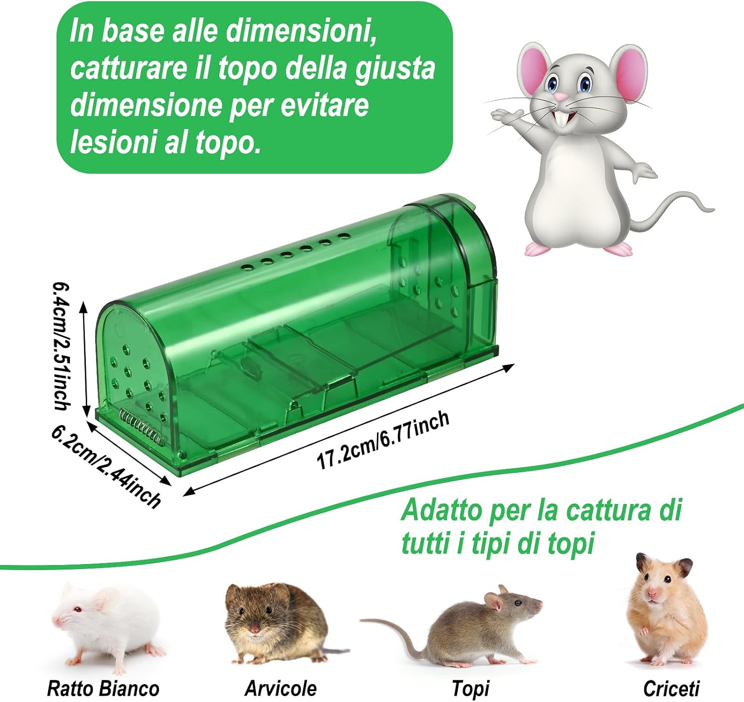 Thumbnail 3 de Faburo Trappola per topi 4 pack 🐭