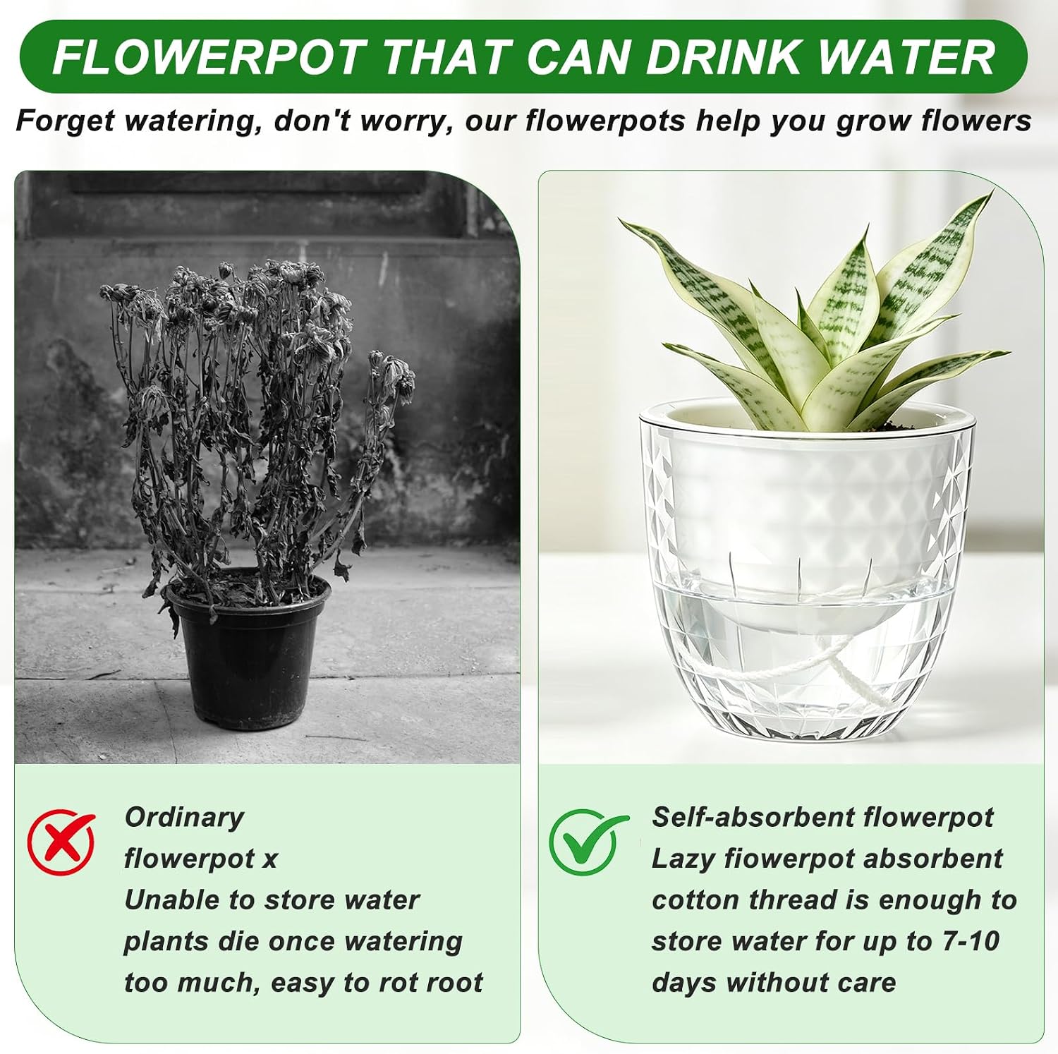 Detalle de Yimomoyi Self-Watering Plant Pots, 11 cm