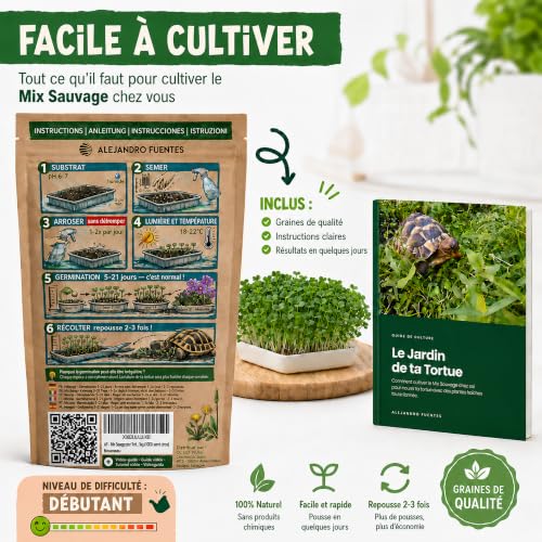 Detalle de AF® - Graine Tortue Terrestre à Semer, Mélange 4 Plantes Sauvages pour Testudo Hermann en Enclos | 40g