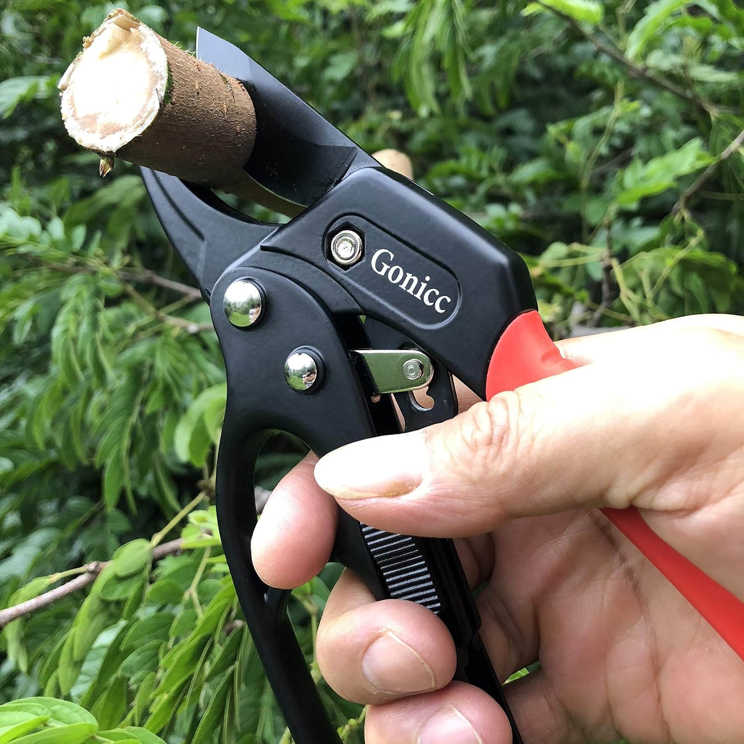 Thumbnail 4 de gonicc GPPS-1011 8-Inch Ratchet Anvil Pruning Shears, SK-5 Steel Blade