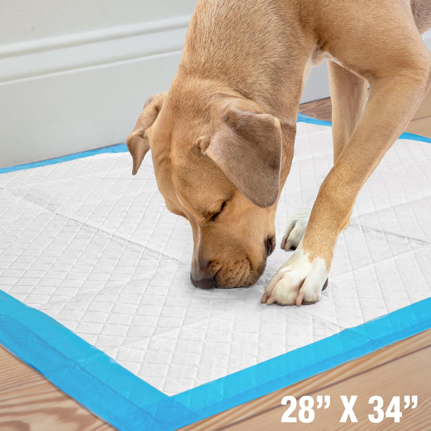 Detalle 2 de Four Paws Wee-Wee Superior Performance Pee Pads (28 x 34 in) with Runoff Barrier Edge Guard, 75 Count