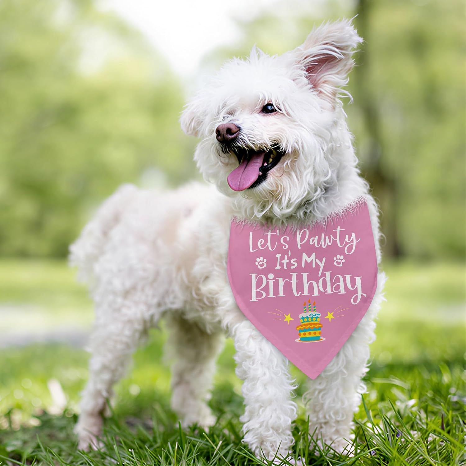 Detalle 2 de Birthday Dog Bandana, Adjustable